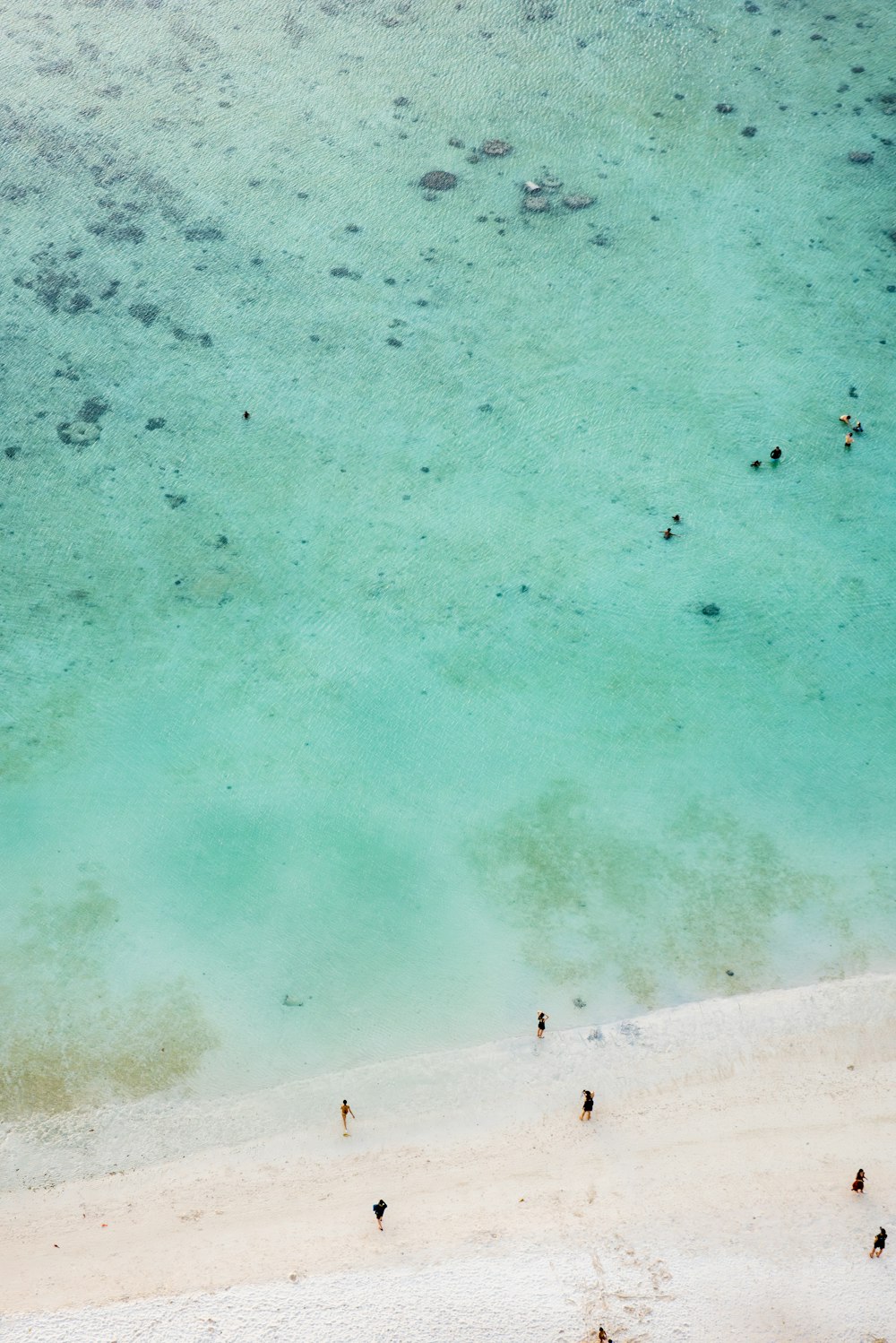 a group of people standing on top of a sandy beach