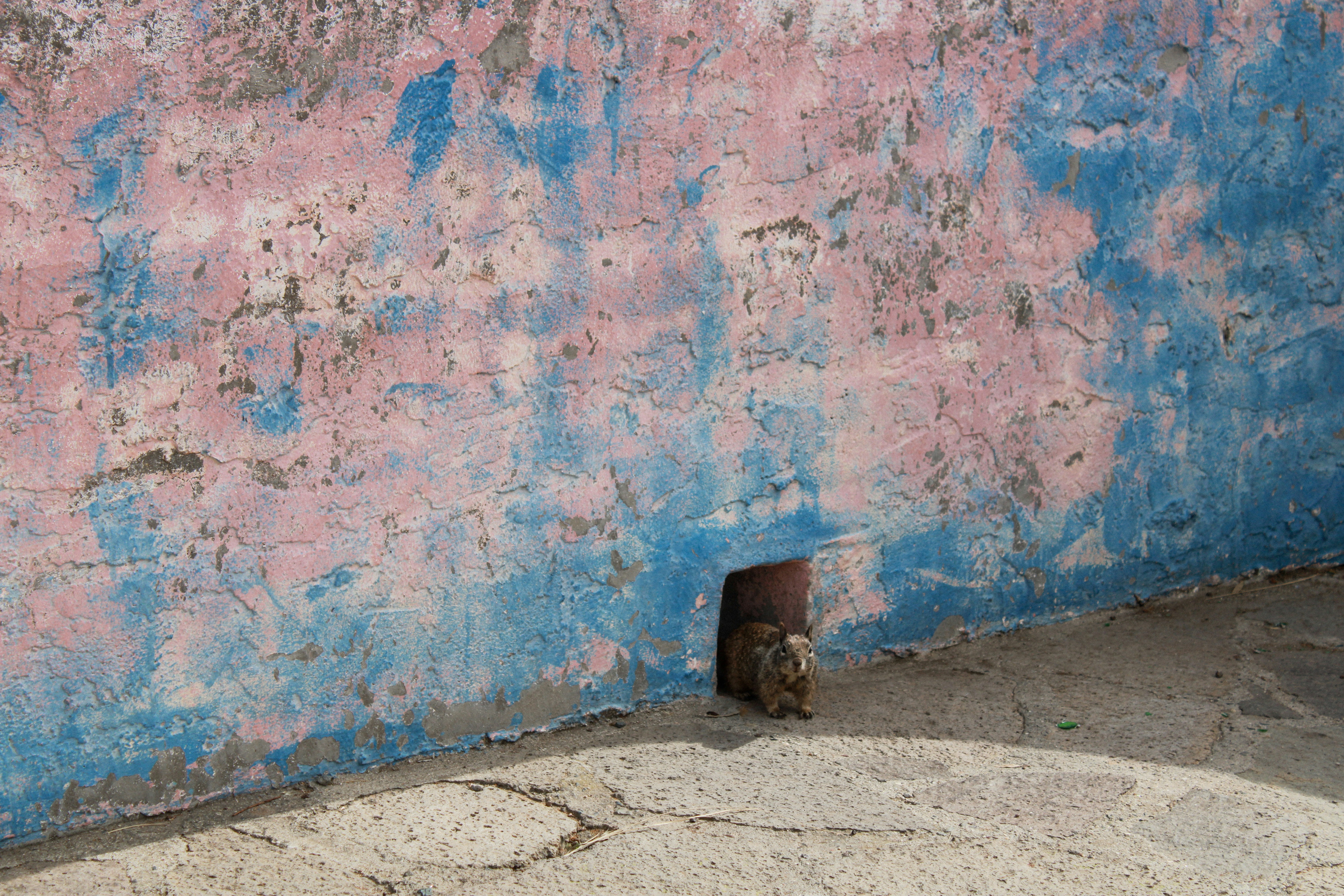 Photo by fotosbypaula