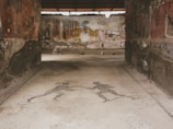 An ancient mosaic floor features two human figures, possibly athletes, engaging in an athletic activity. The walls surrounding the mosaic are constructed with old stone and faded frescoes, suggesting historical significance. The background includes more remnants of painted murals and architectural ruins.
