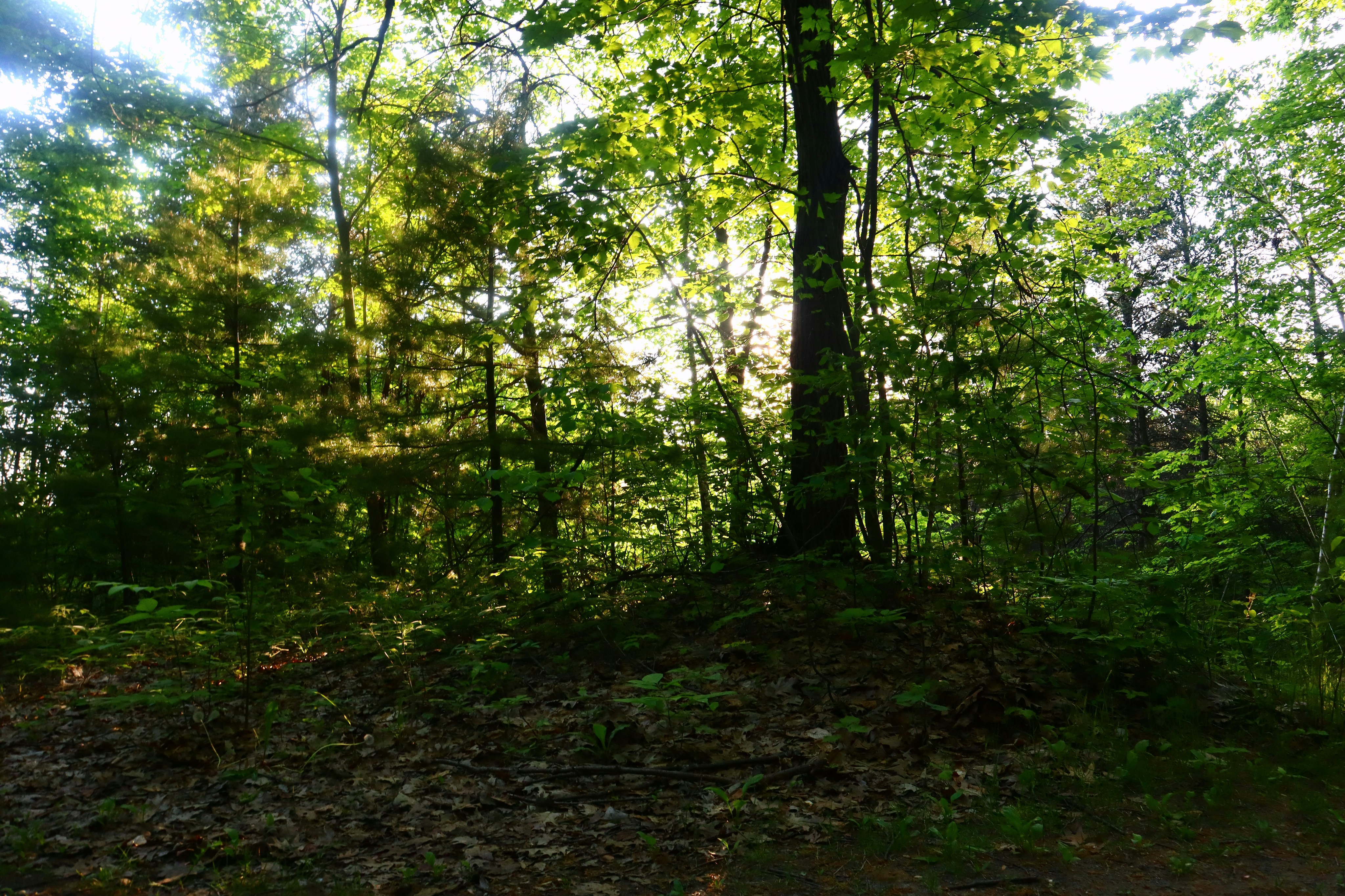 Photo by pokockypokocky