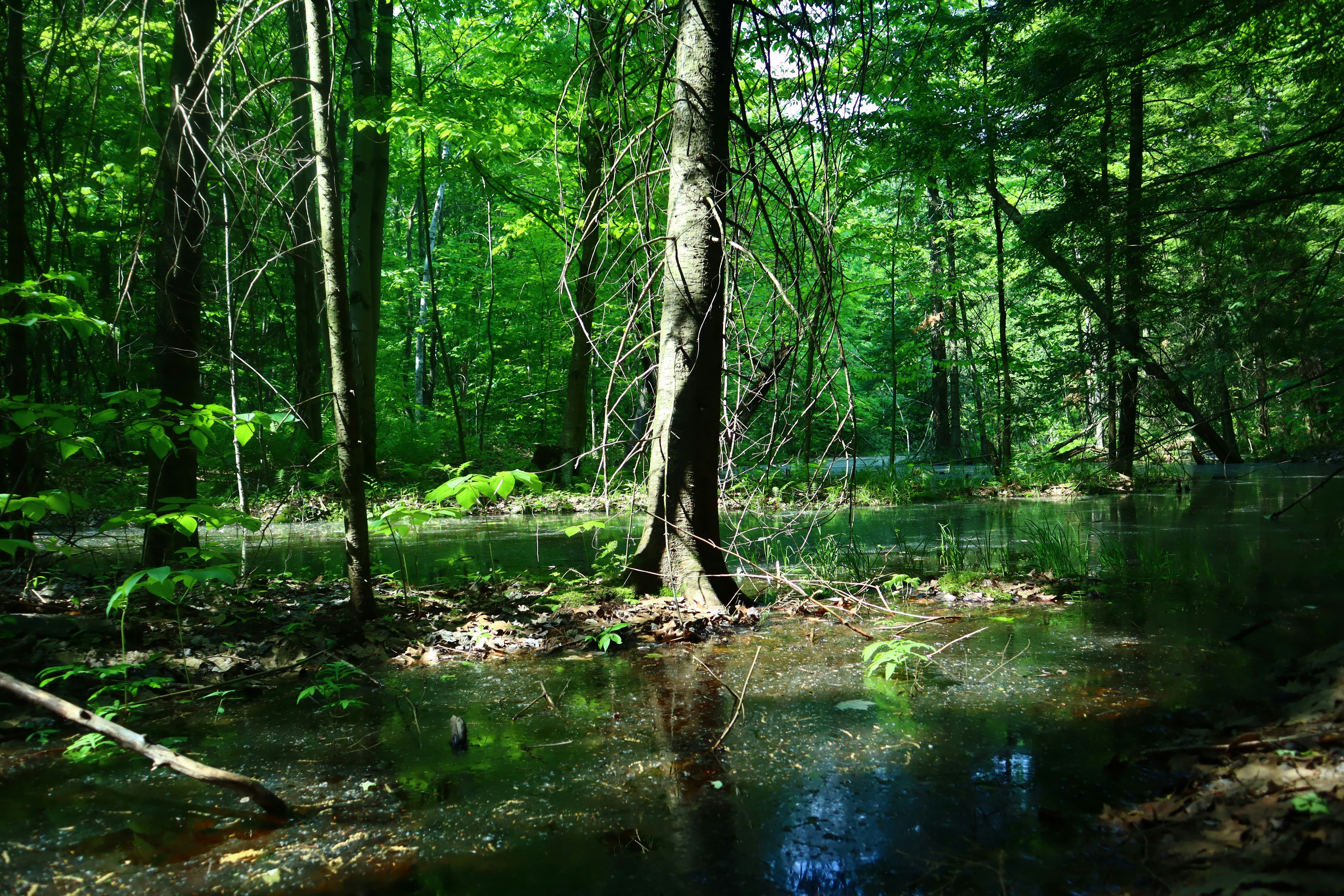 Photo by pokockypokocky