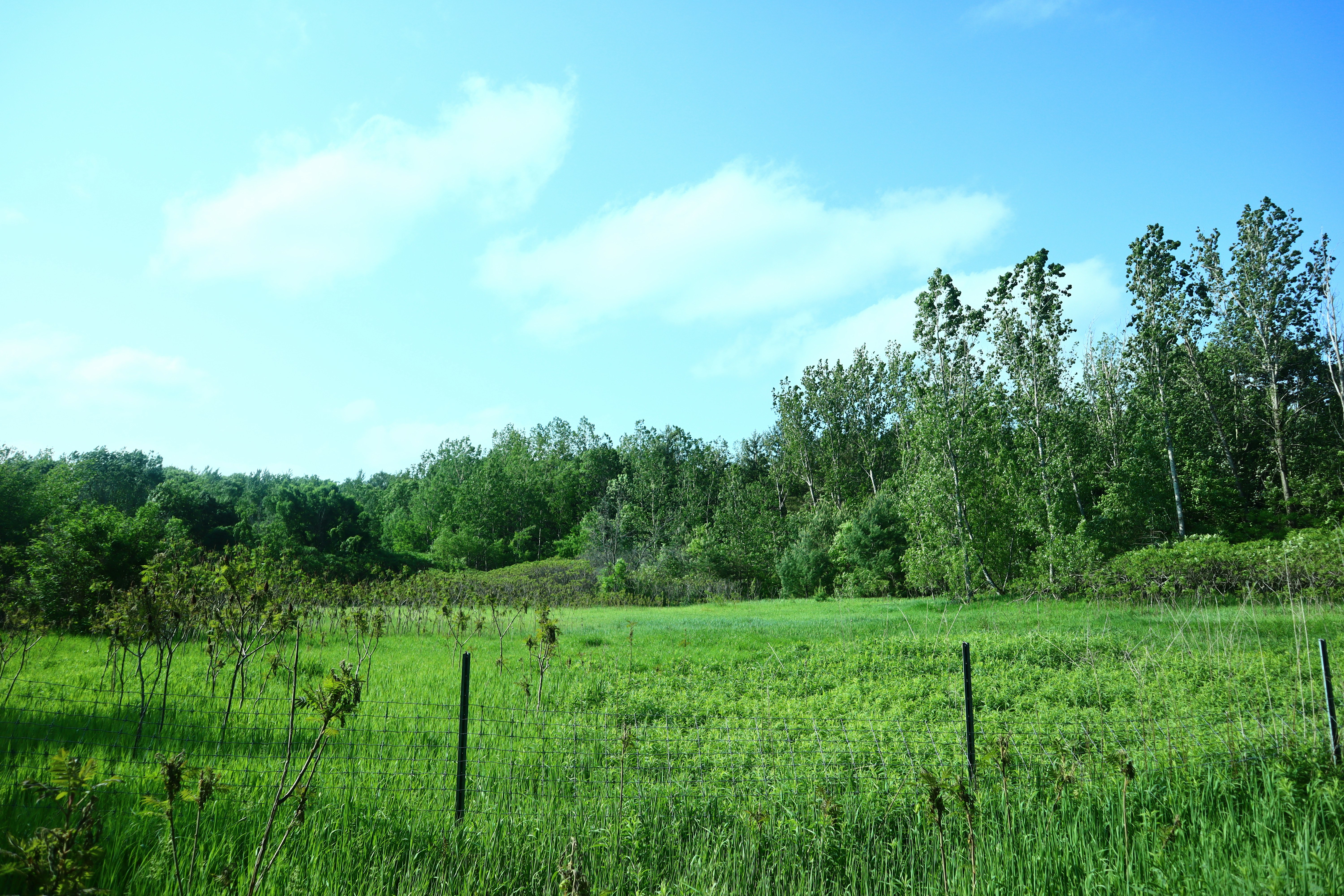 Photo by pokockypokocky