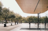A modern architectural scene featuring a large glass building with a wooden ceiling overhang. The exterior reflects a row of neatly arranged trees lining a spacious concrete walkway. A couple of people are seen walking near the entrance, adding a sense of movement to the tranquil setting.