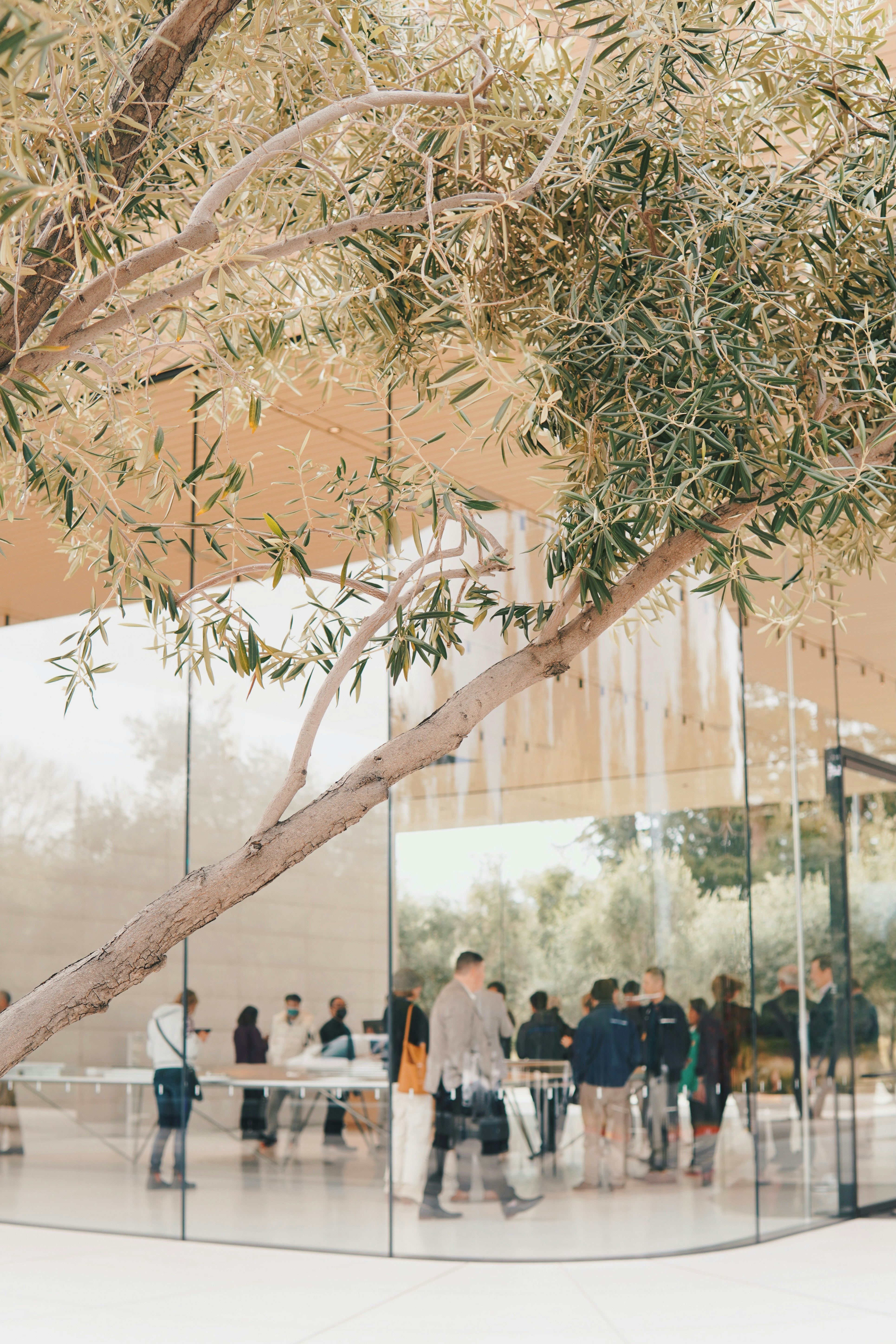 Photo by madeline_sd