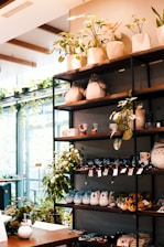 A cozy pet store interior with various pet supplies displayed on shelves.