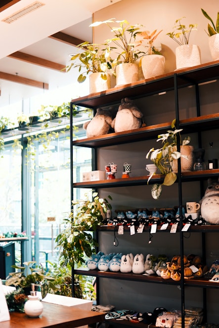 A cozy boutique display featuring a tasteful selection of adult toys with soft lighting.