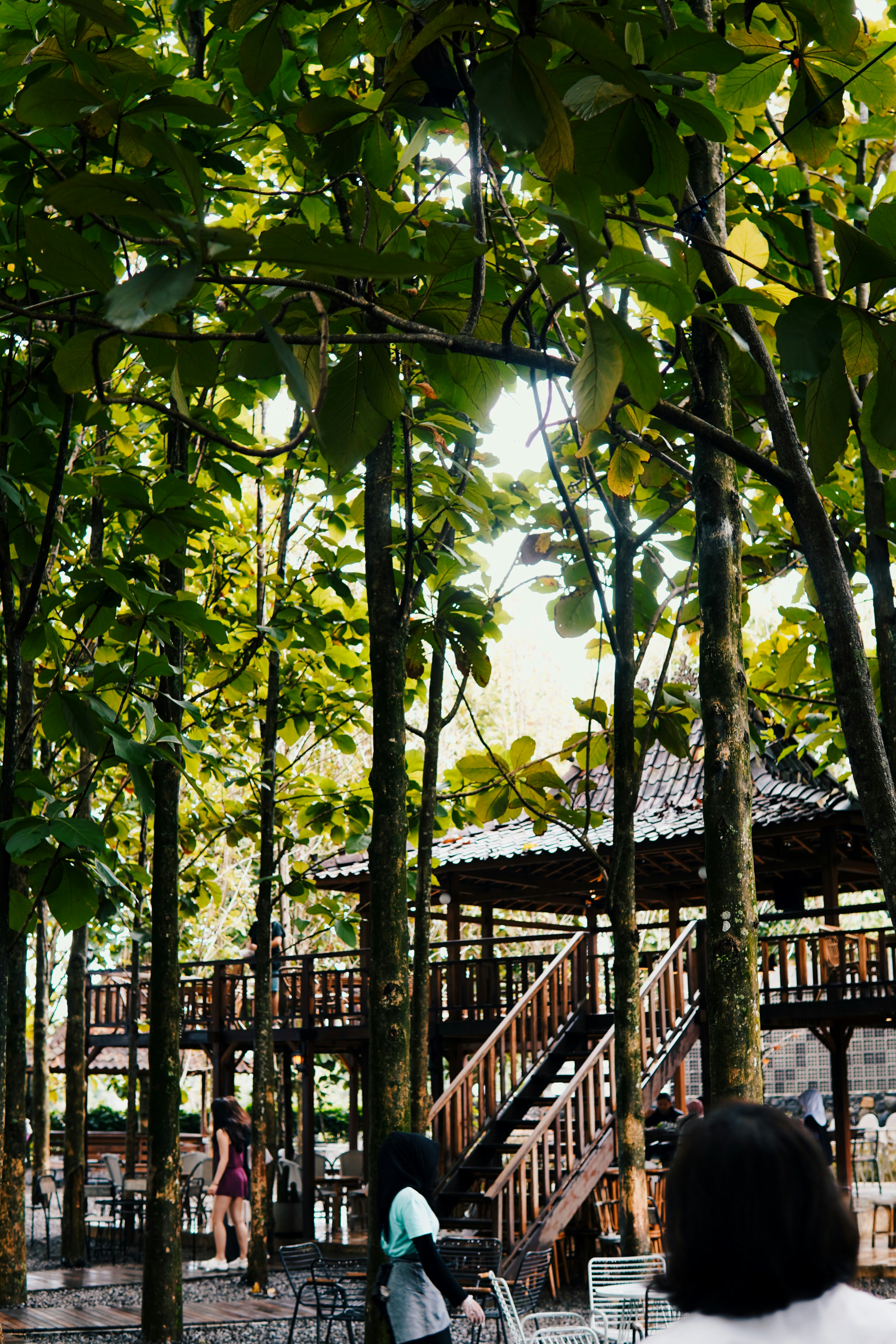 Photo by madeline_sd