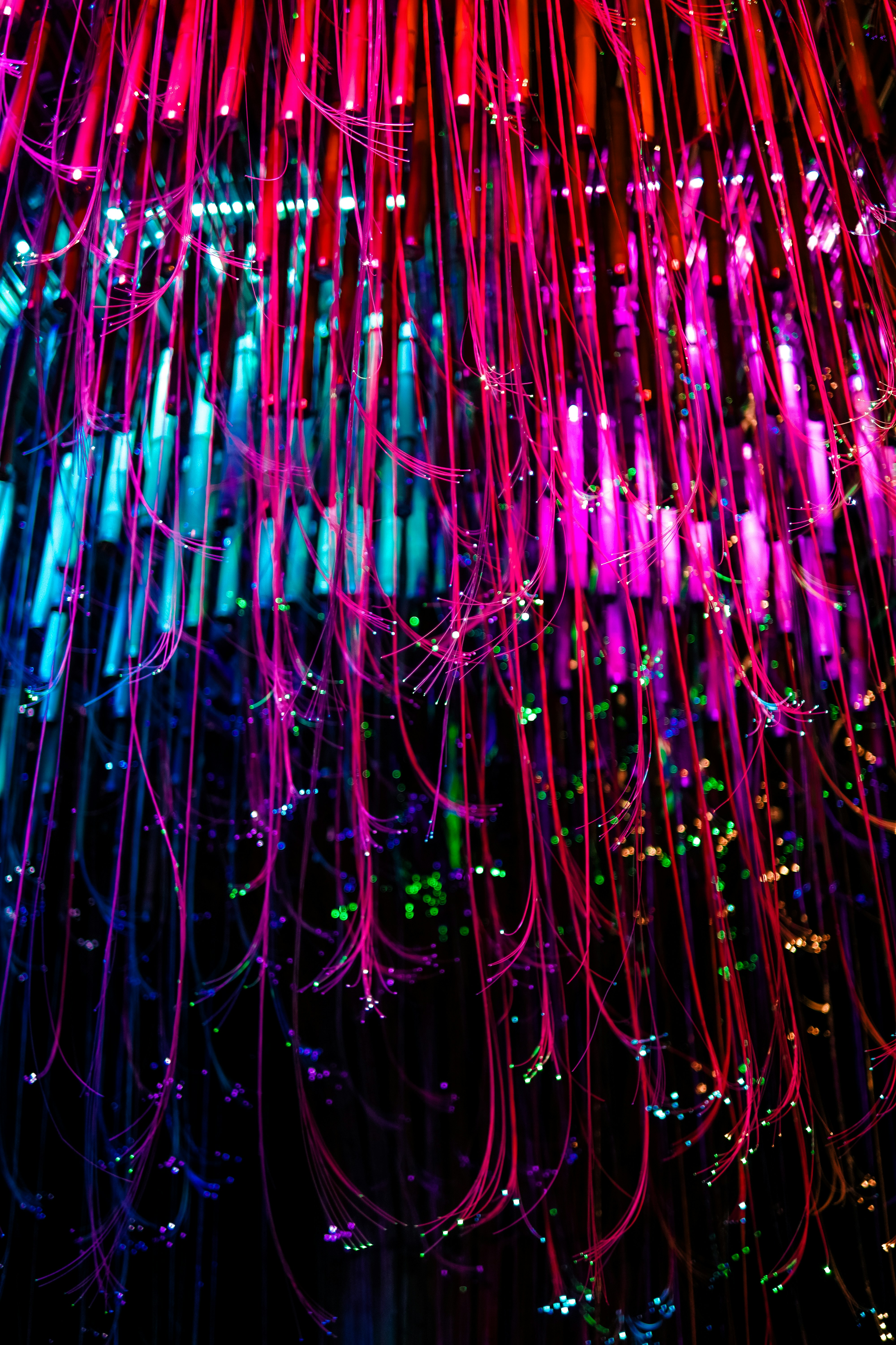 Photo by madeline_sd