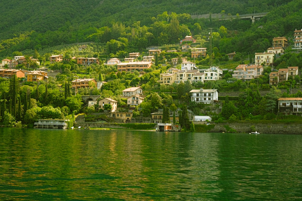 a lake with houses on a hill in the background