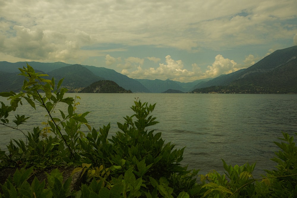 a body of water with mountains in the background