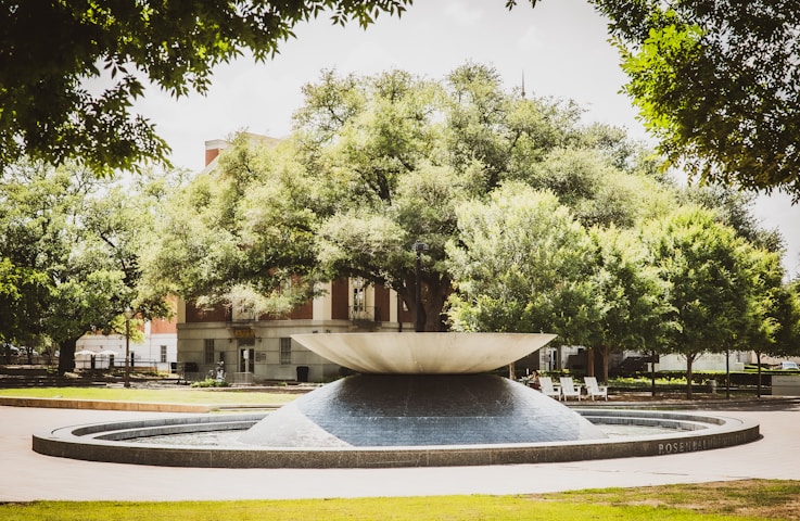 Midwestern State University Texas