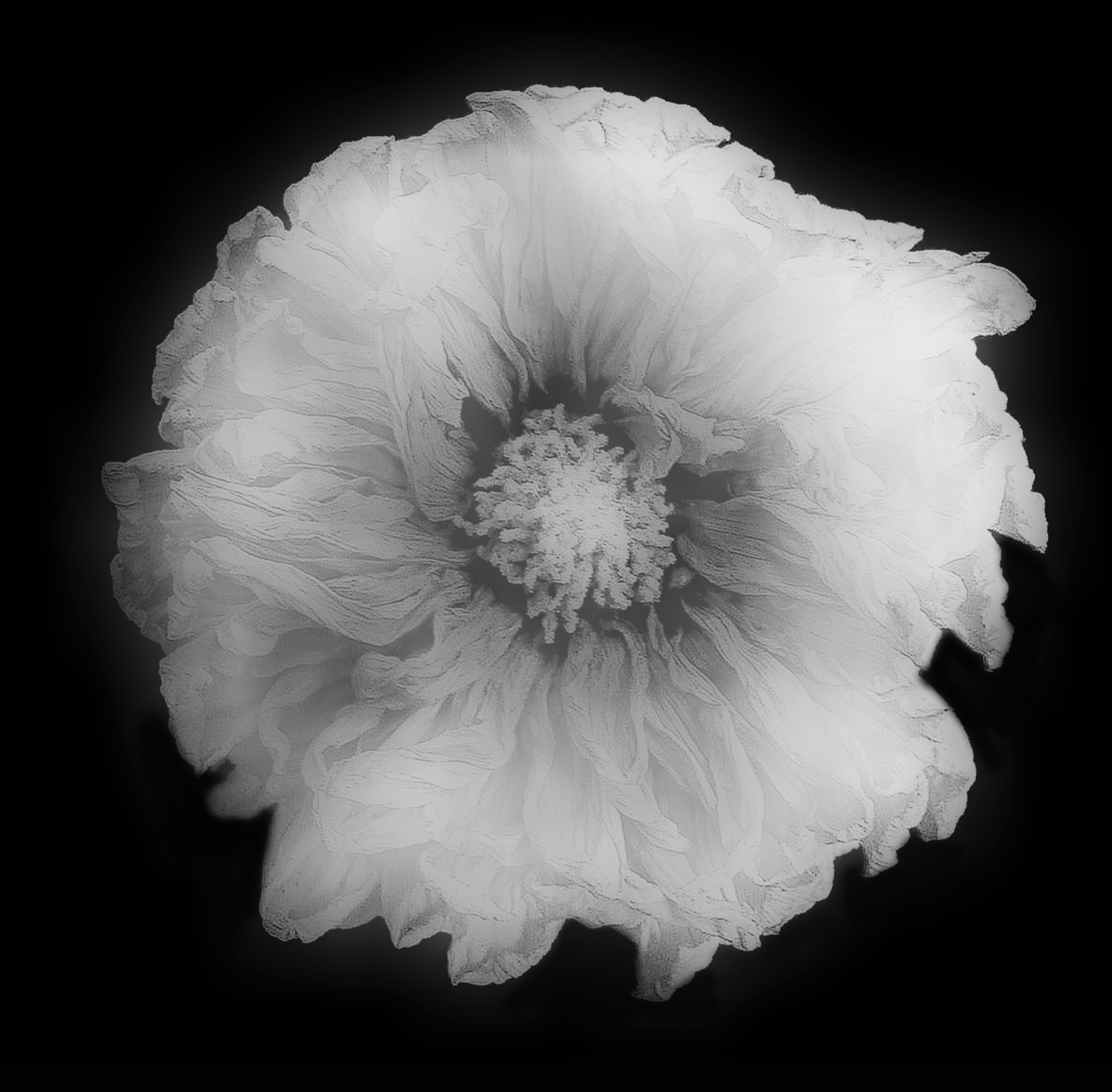 Photo by nrepetatska