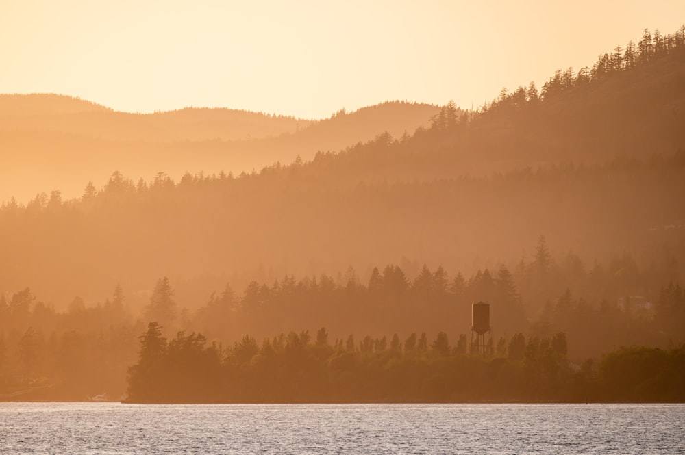 a body of water with trees on a hill in the background