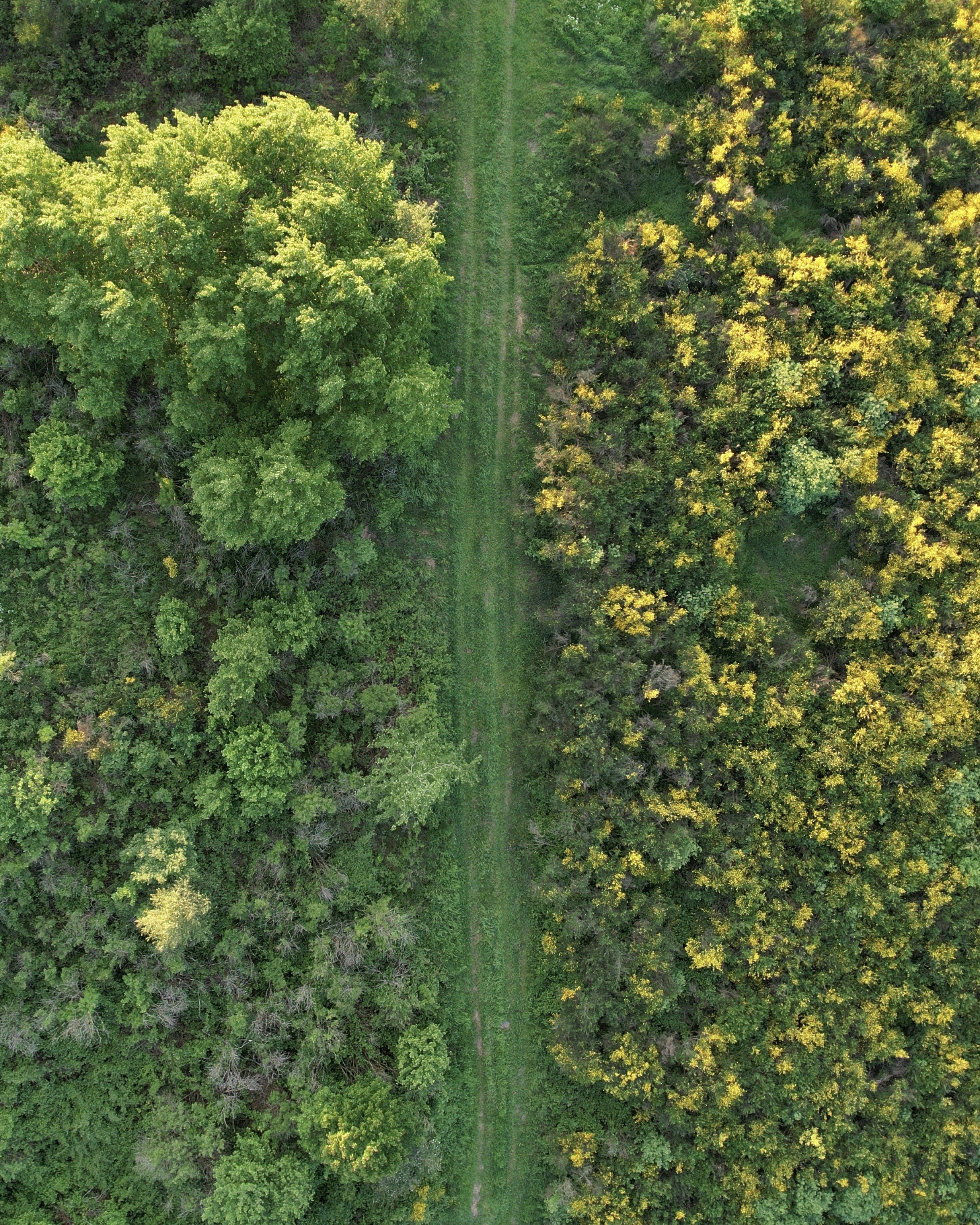 Photo by mortezakhalili