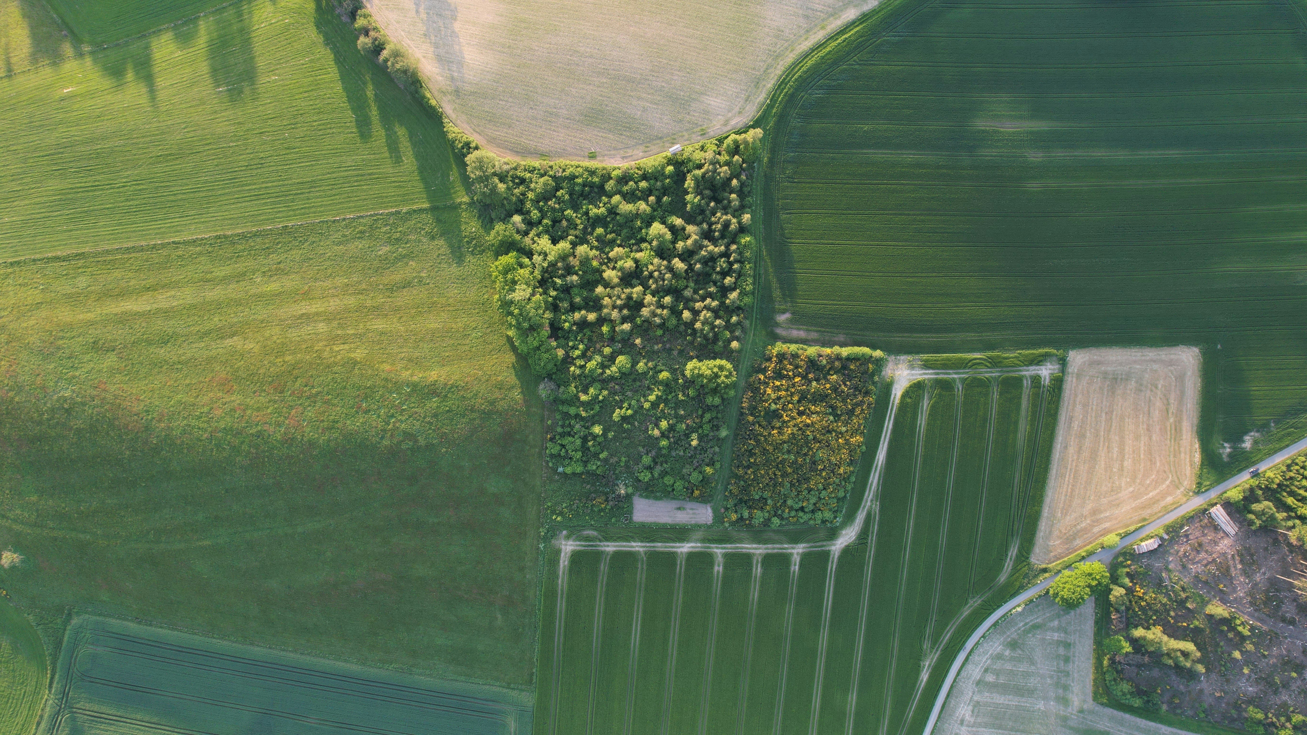 Photo by mortezakhalili