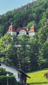 A picturesque house with two prominent turreted towers is nestled among lush green trees at the edge of a dense forest. The architectural style suggests a traditional design with red roofs and white walls. In the foreground, a smaller, rustic house with wooden details is partly visible, set against a gently sloping grassy hillside.