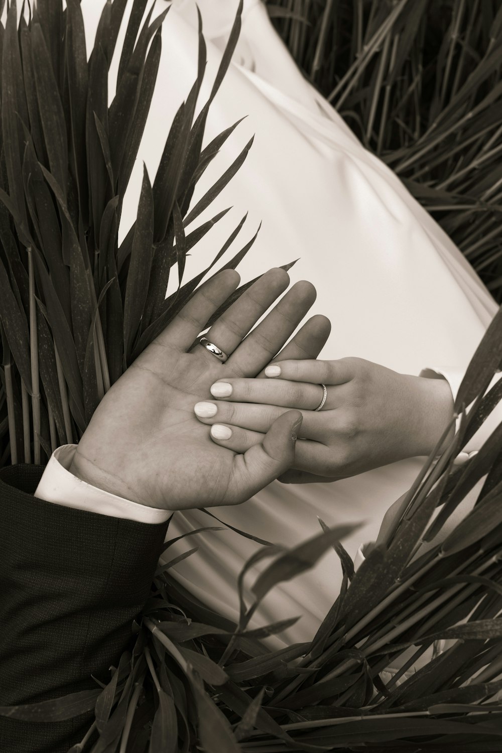 a bride and groom holding hands in front of a palm tree