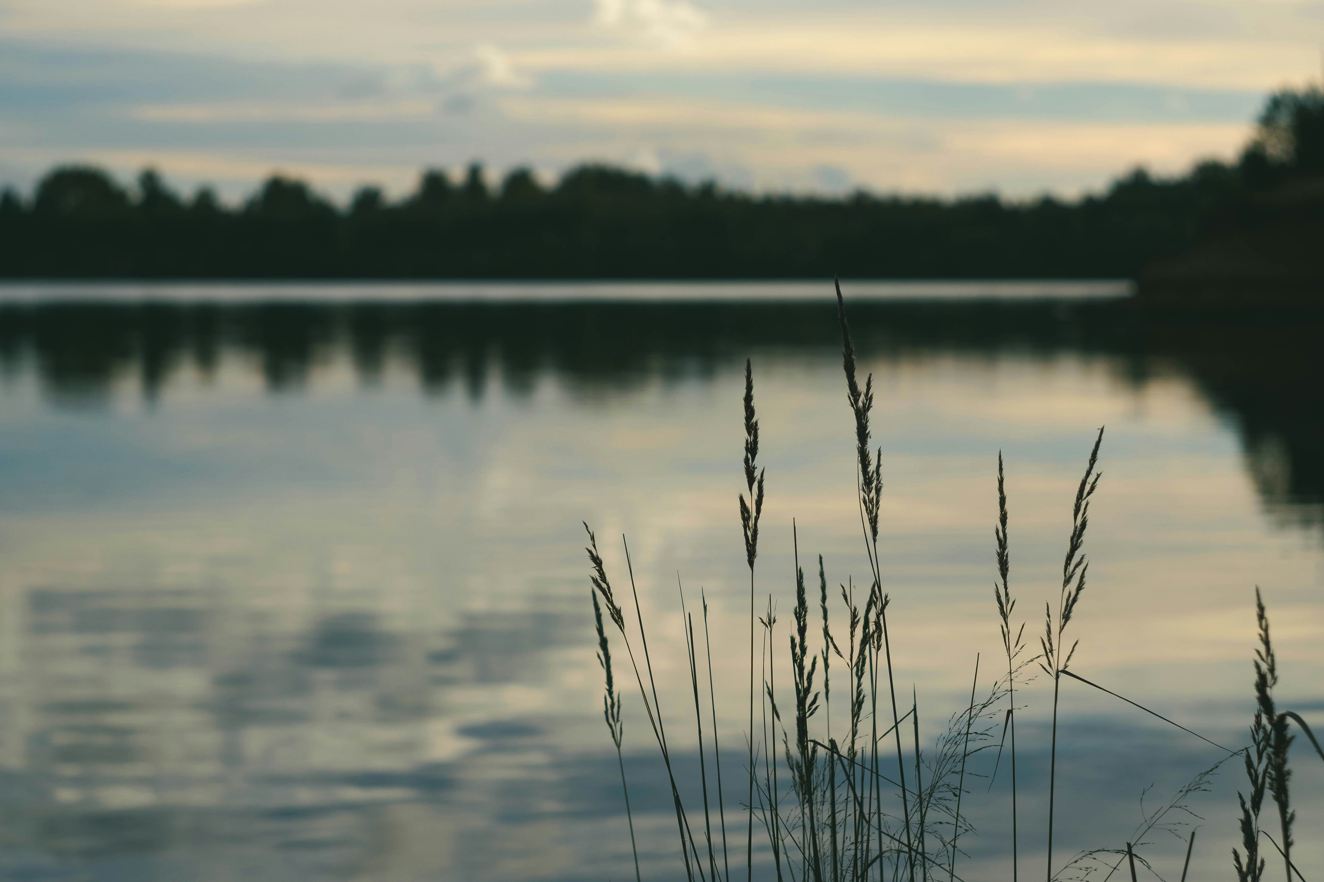 Photo by mirrors_are_more_fun