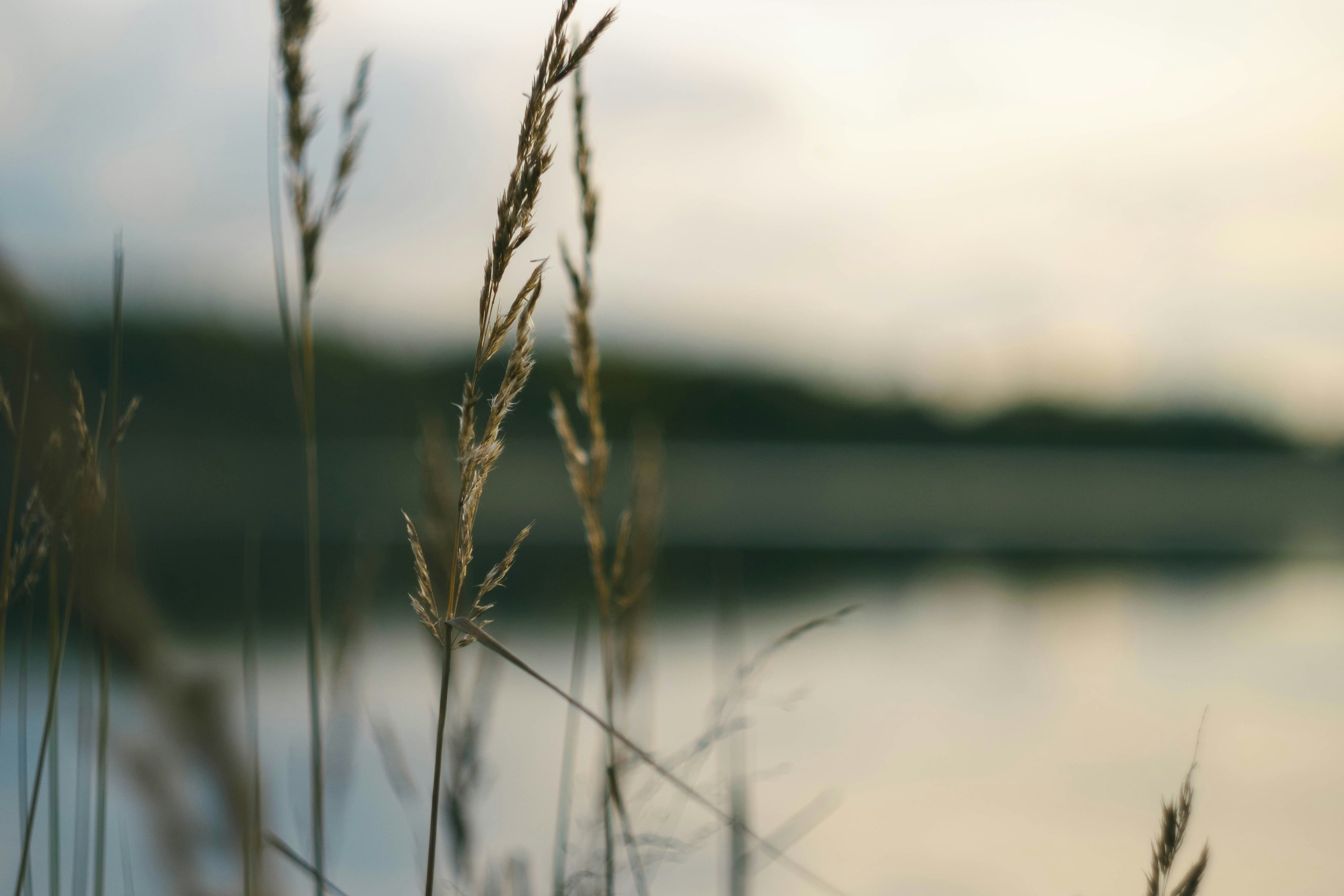 Photo by mirrors_are_more_fun