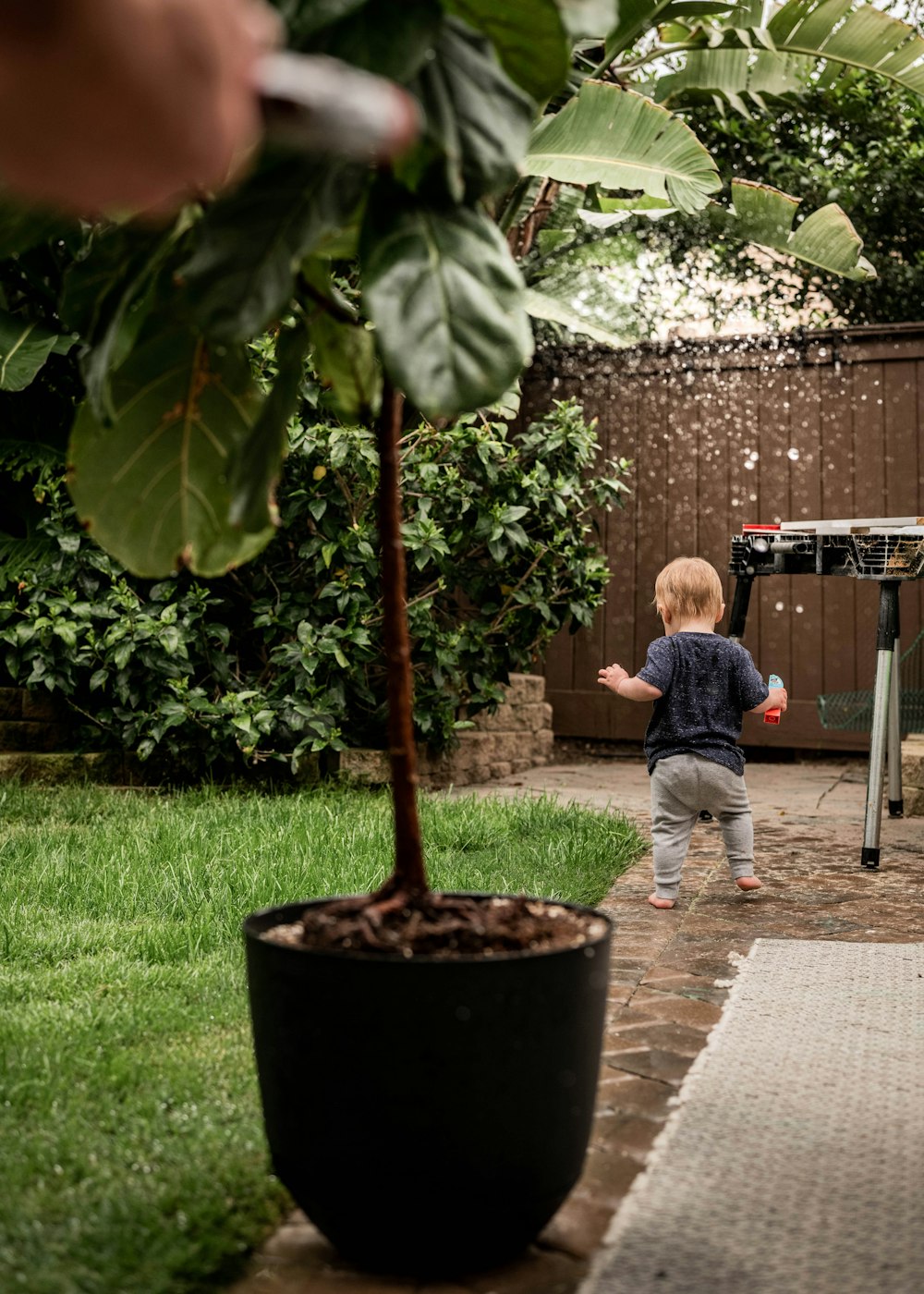 a little boy standing next to a potted plant