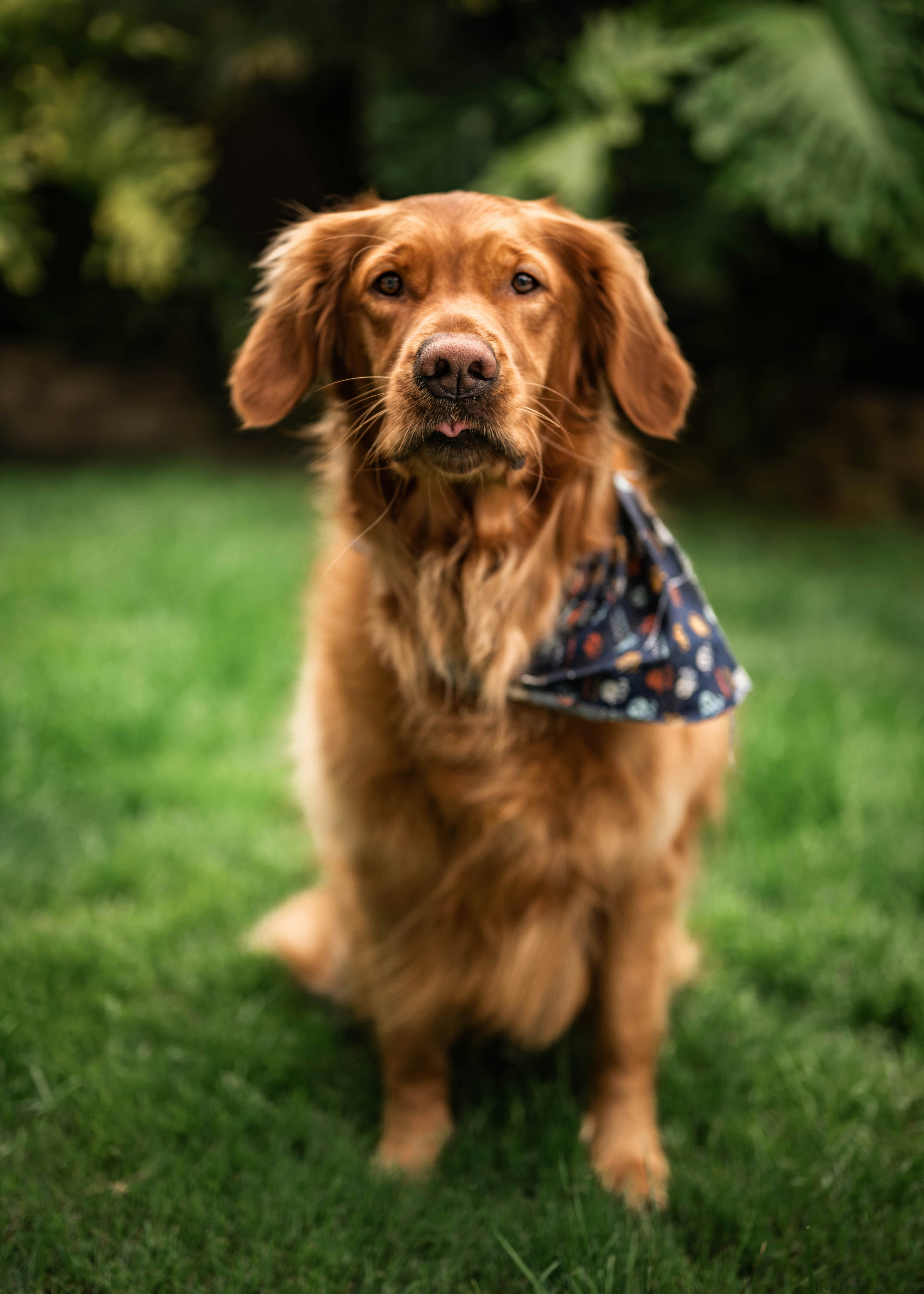 Photo by goldencoastgrams