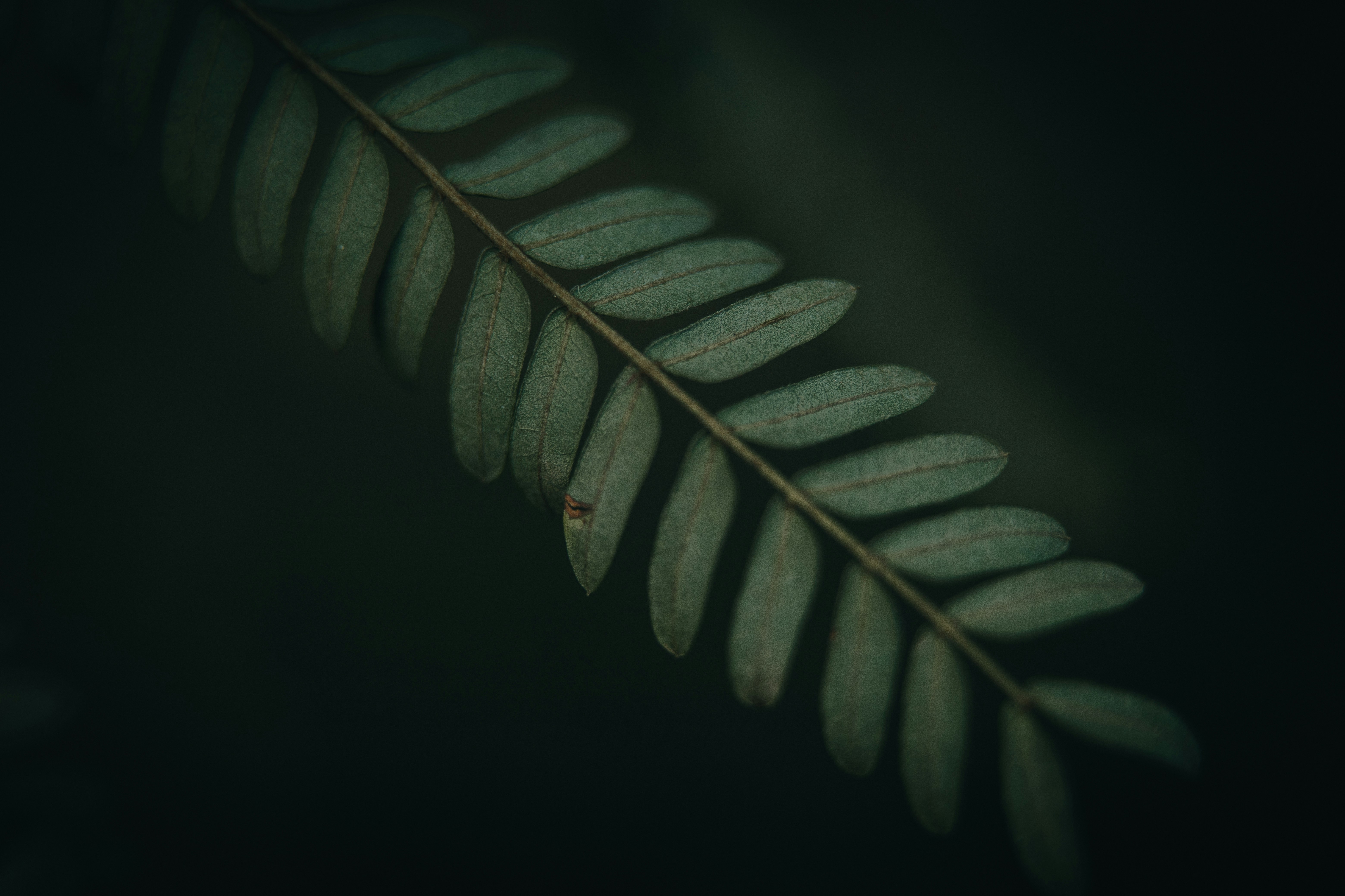 Photo by rrodriguesim