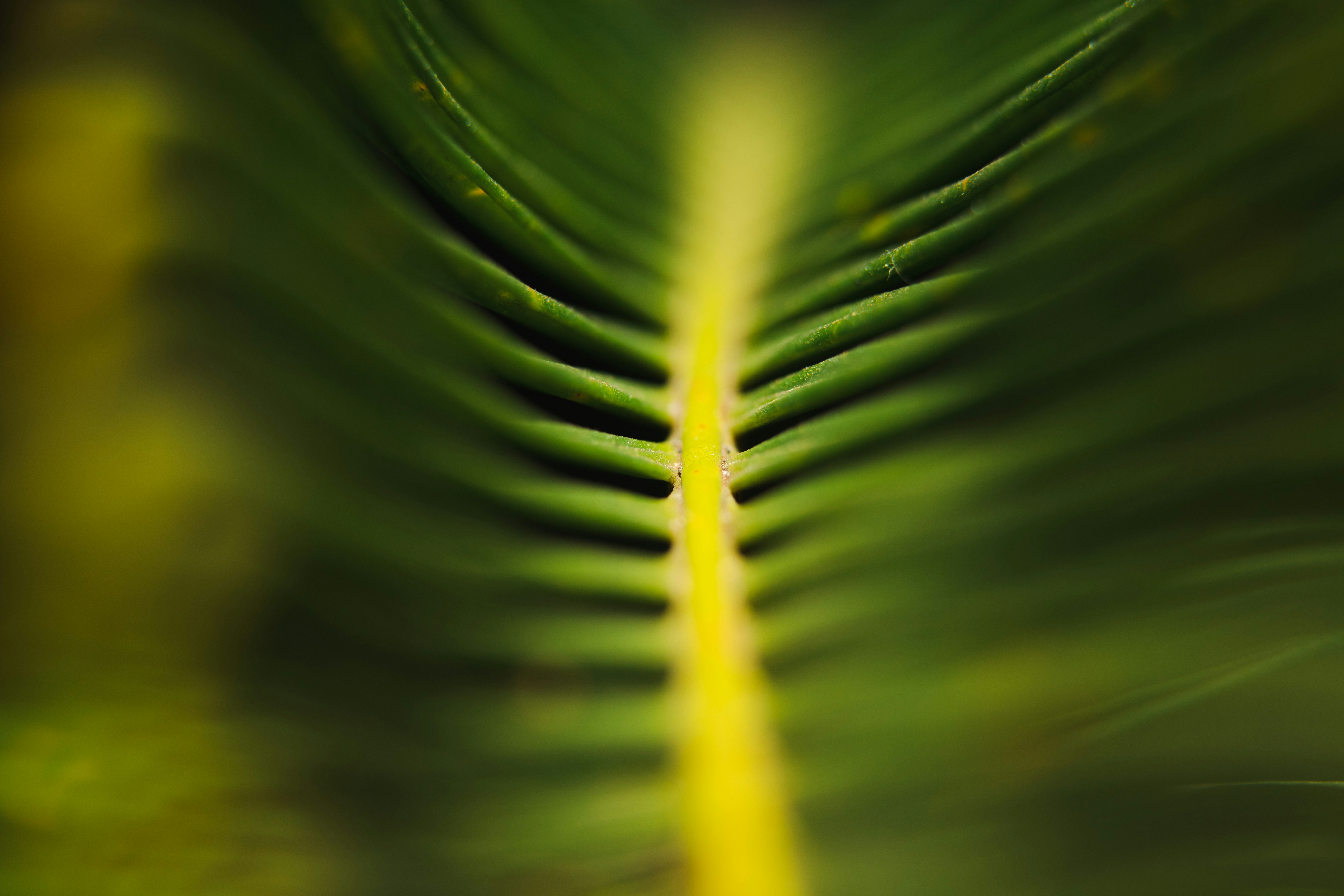 Photo by rrodriguesim