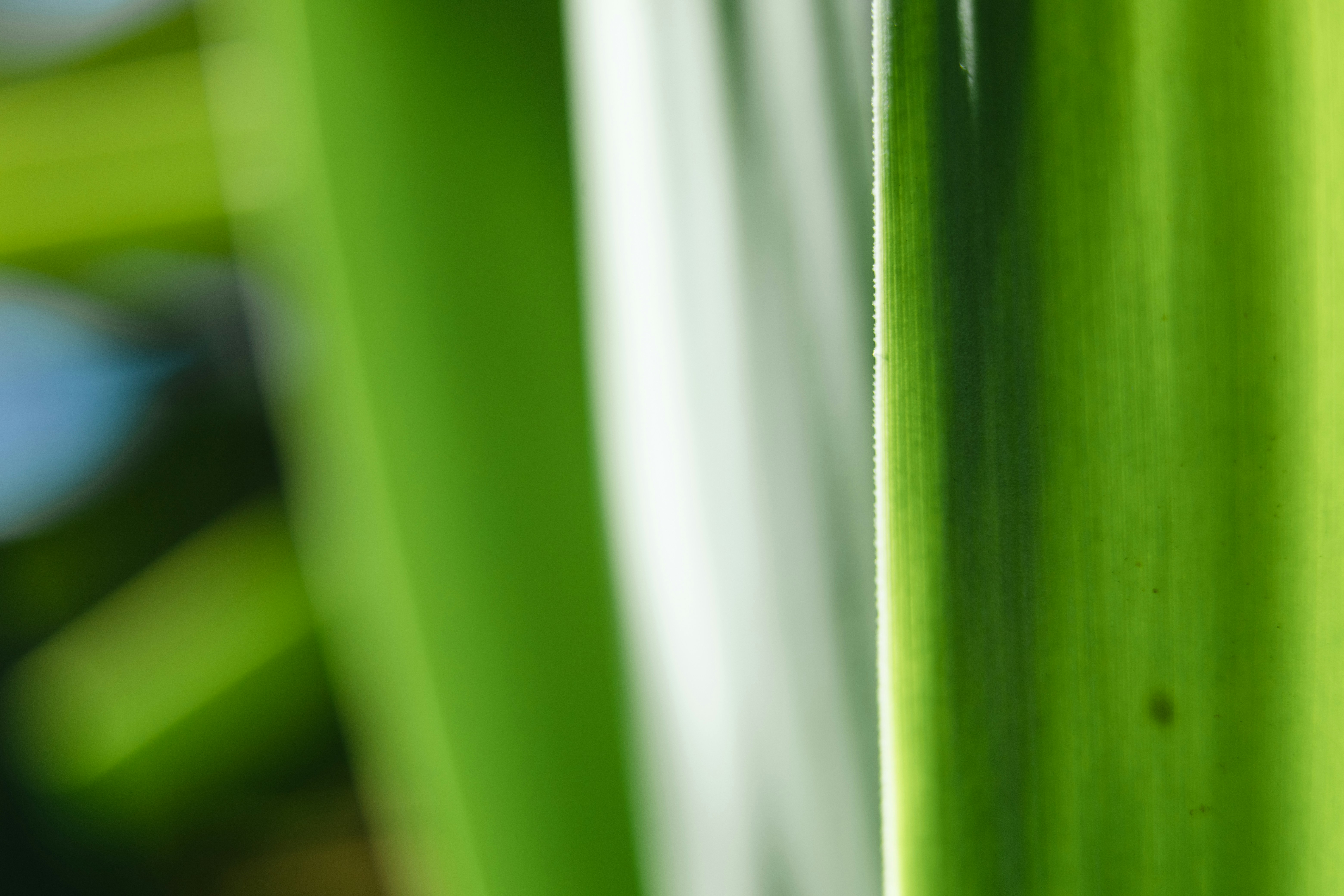 Photo by rrodriguesim