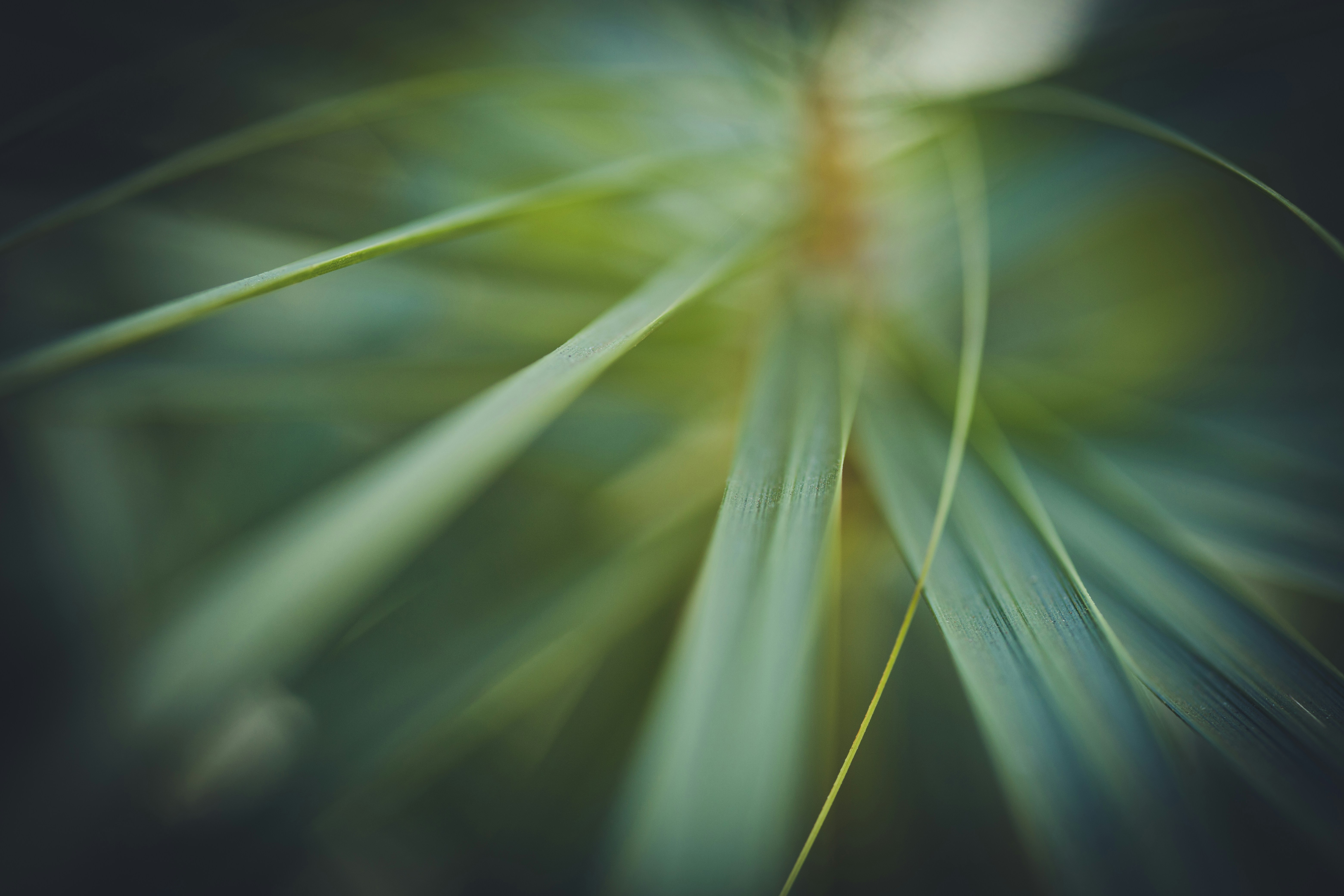 Photo by rrodriguesim