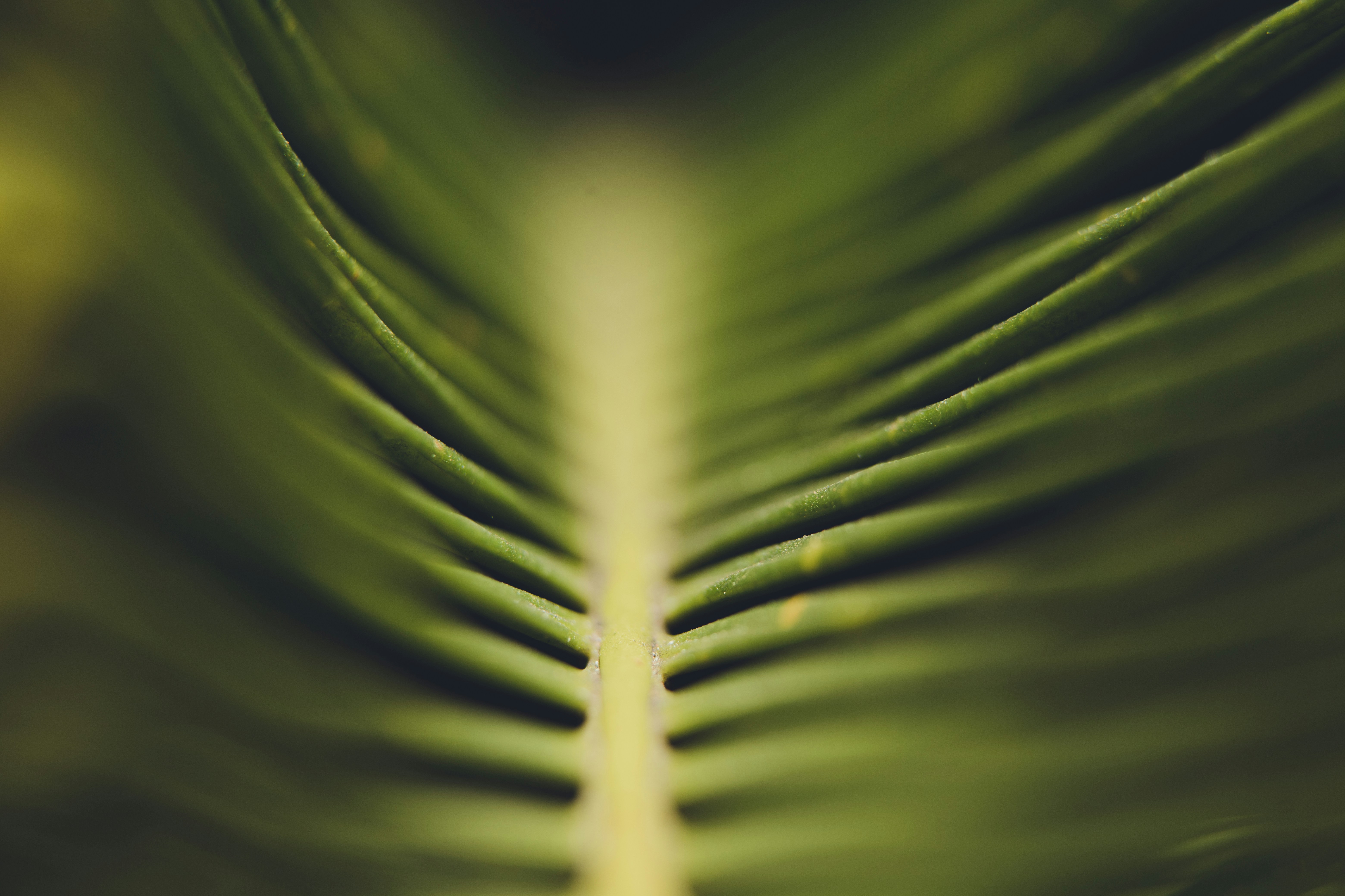 Photo by rrodriguesim