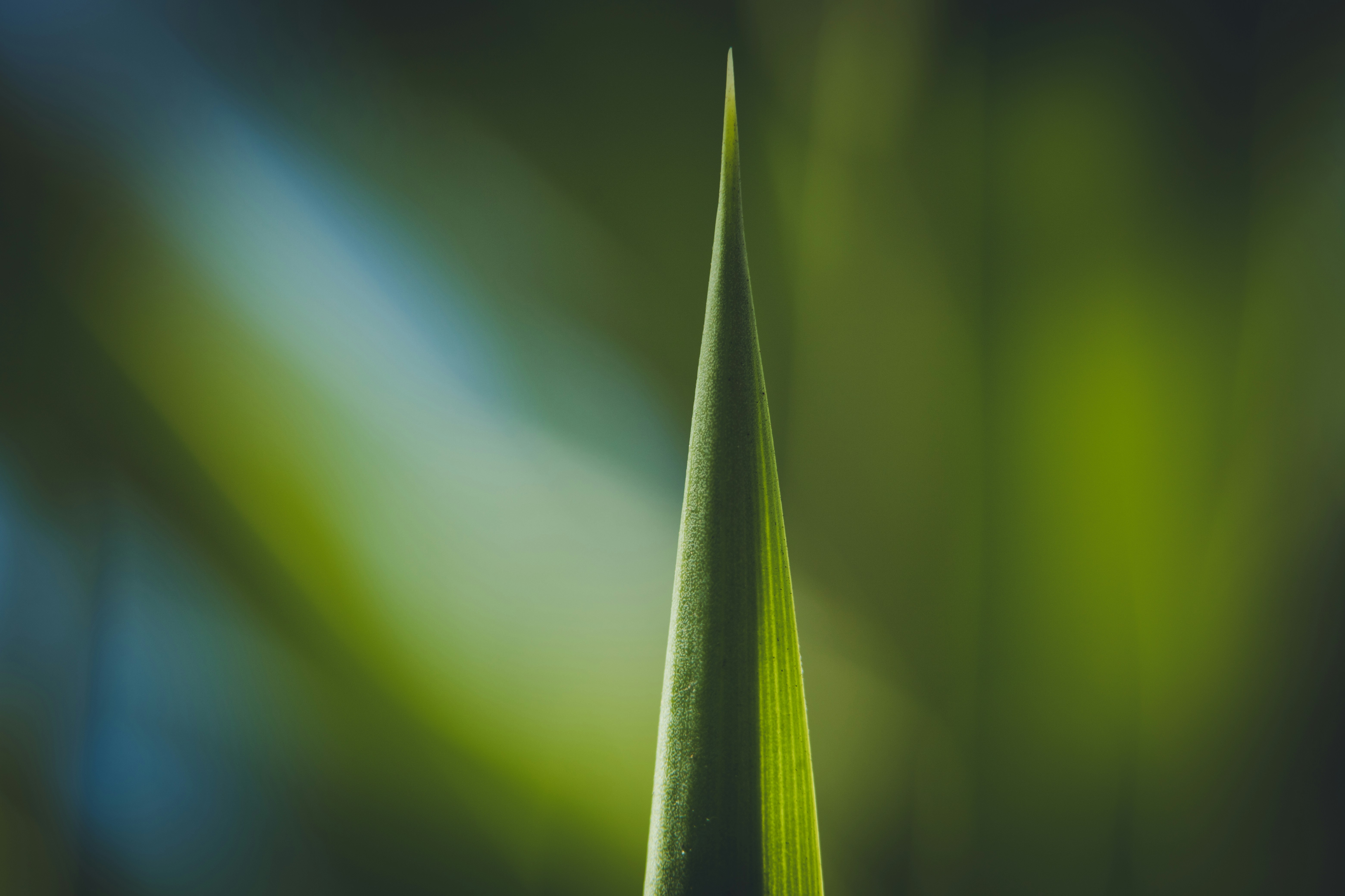 Photo by rrodriguesim