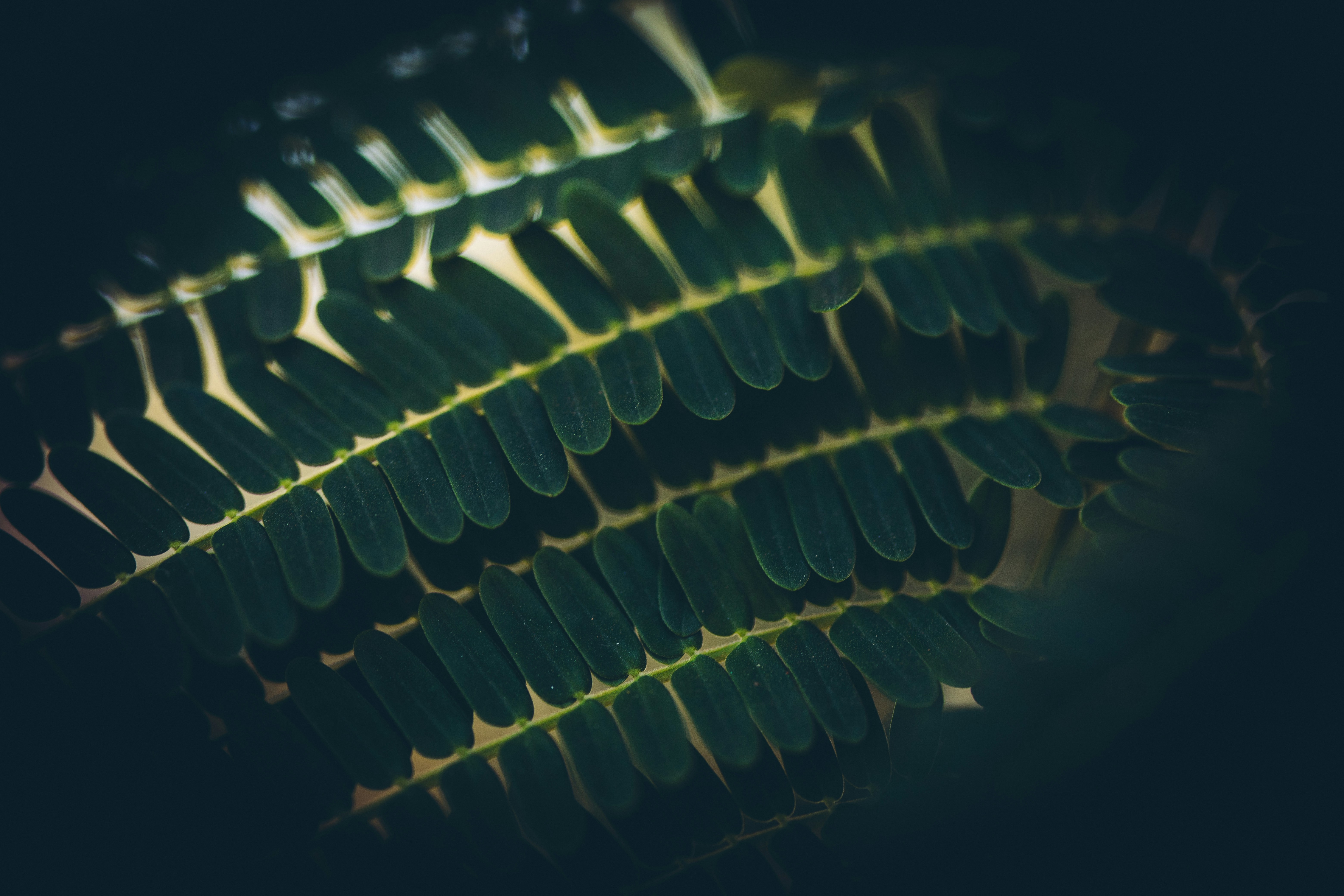 Photo by rrodriguesim