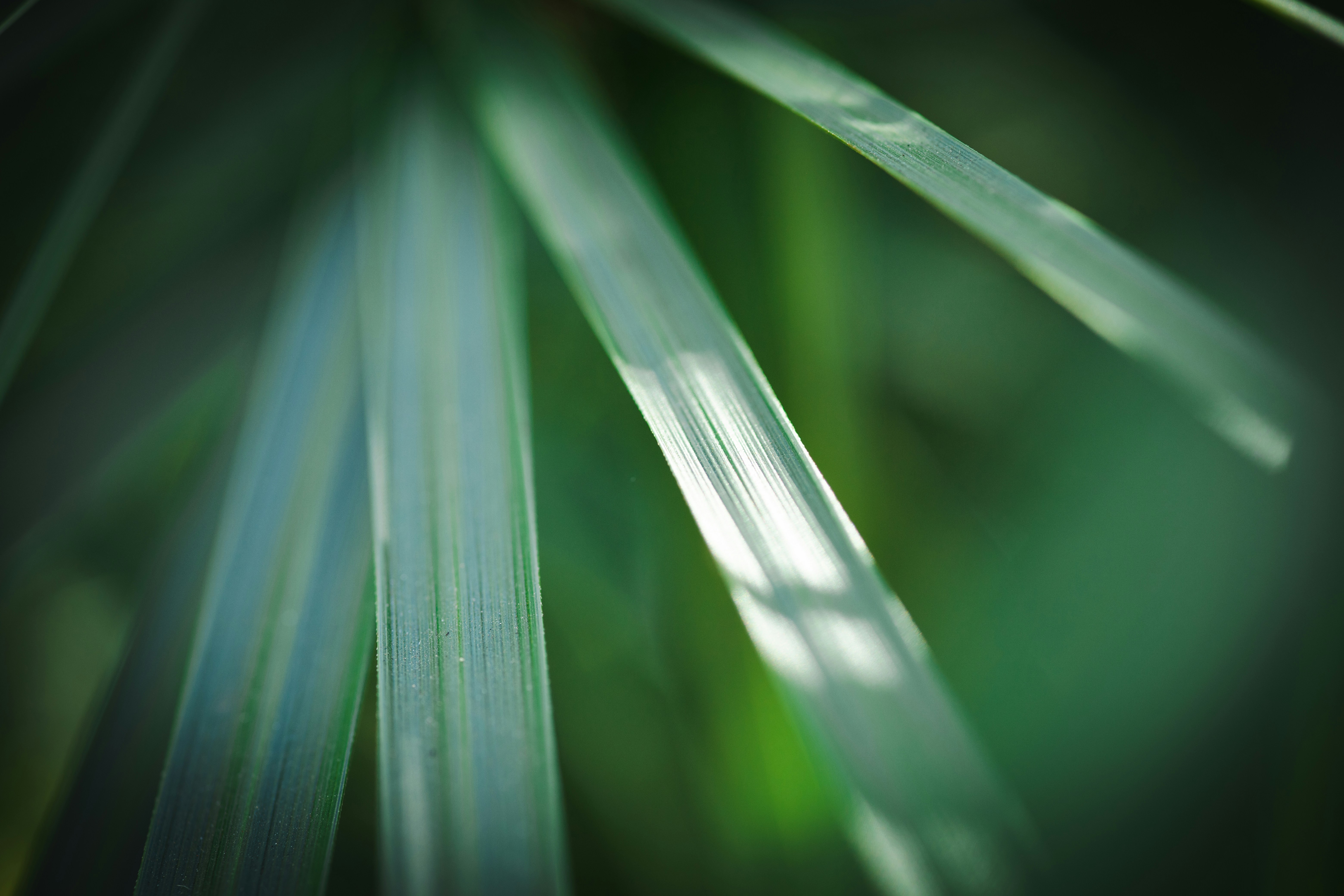 Photo by rrodriguesim