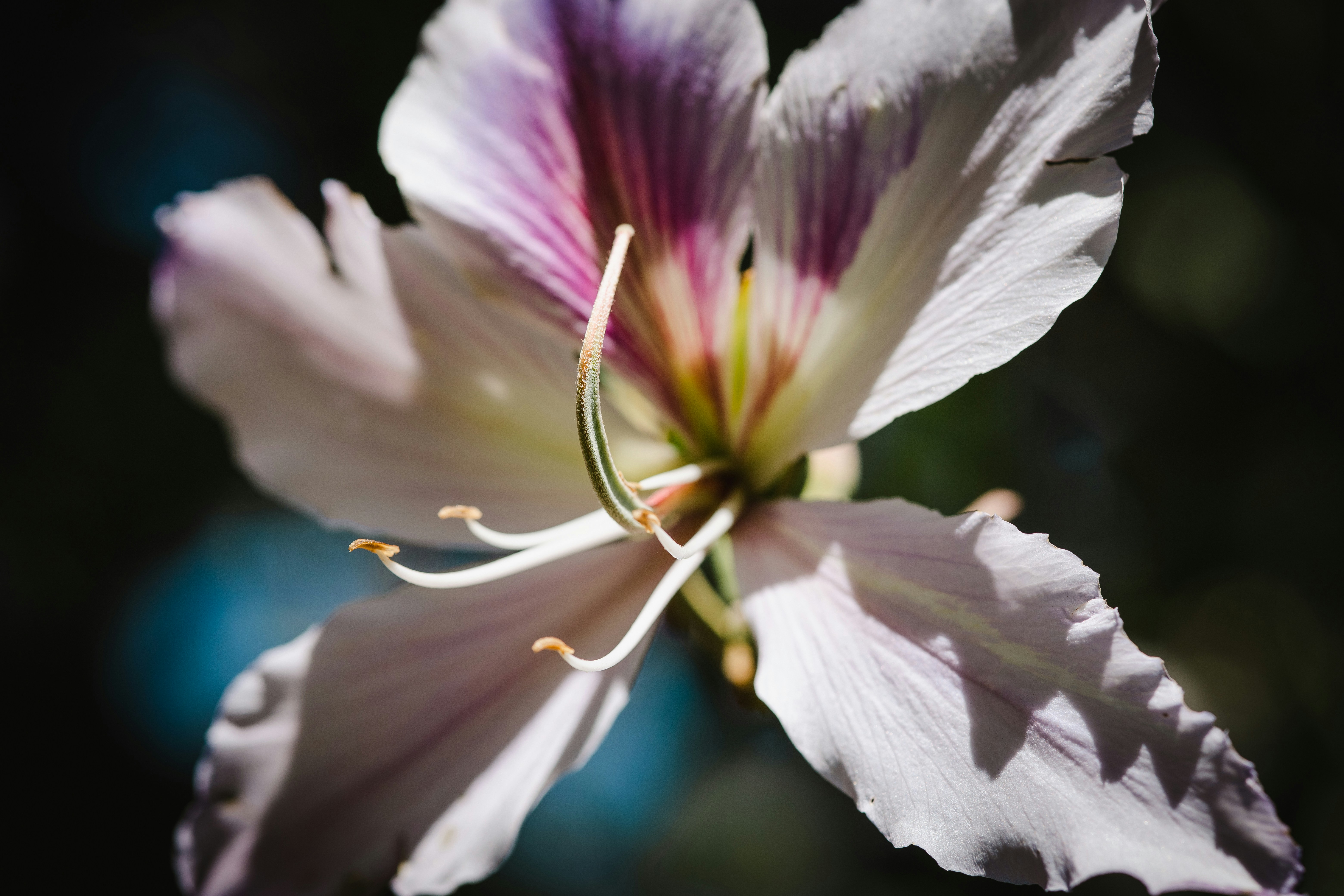 Photo by rrodriguesim