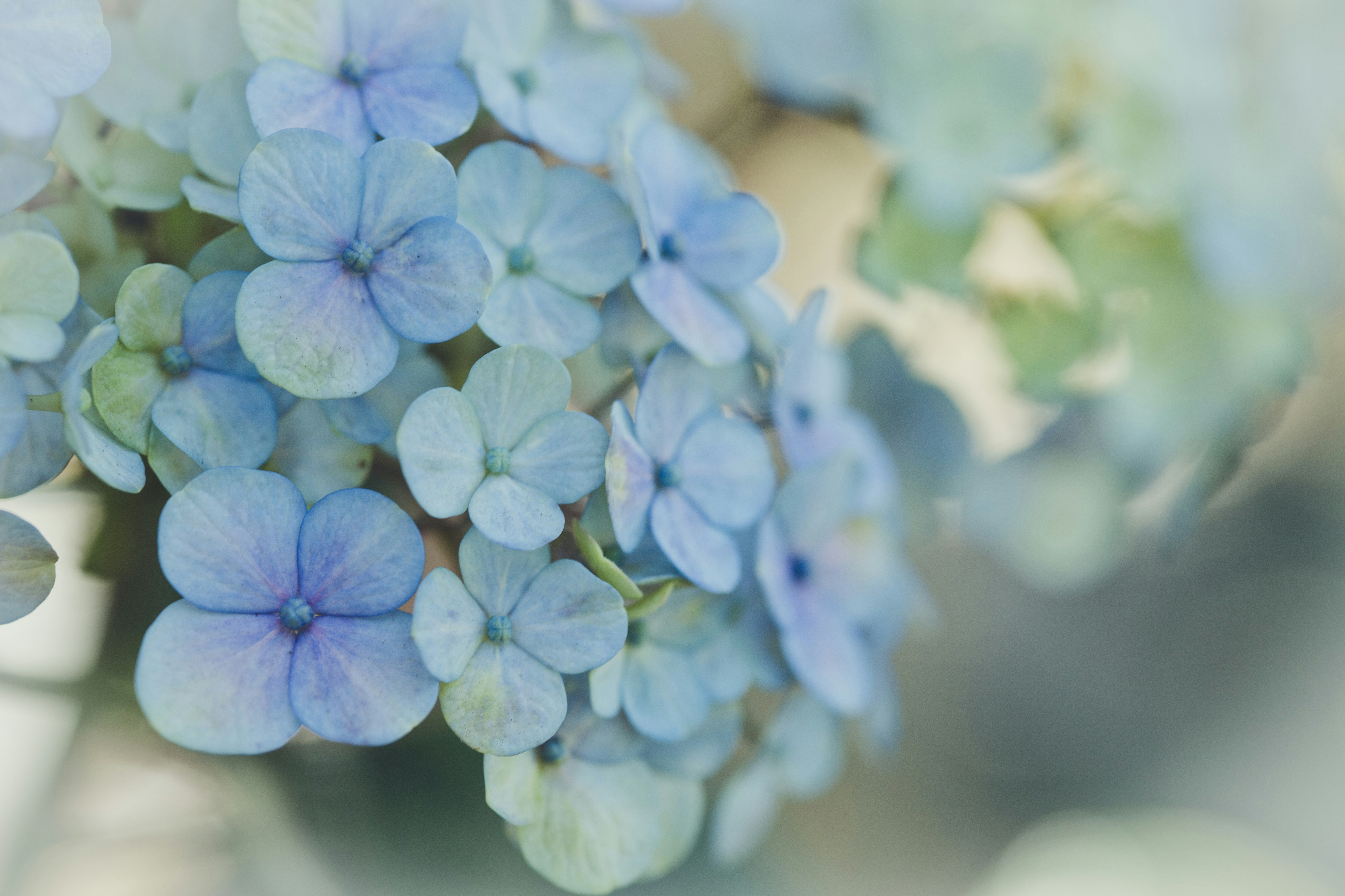 Photo by rrodriguesim