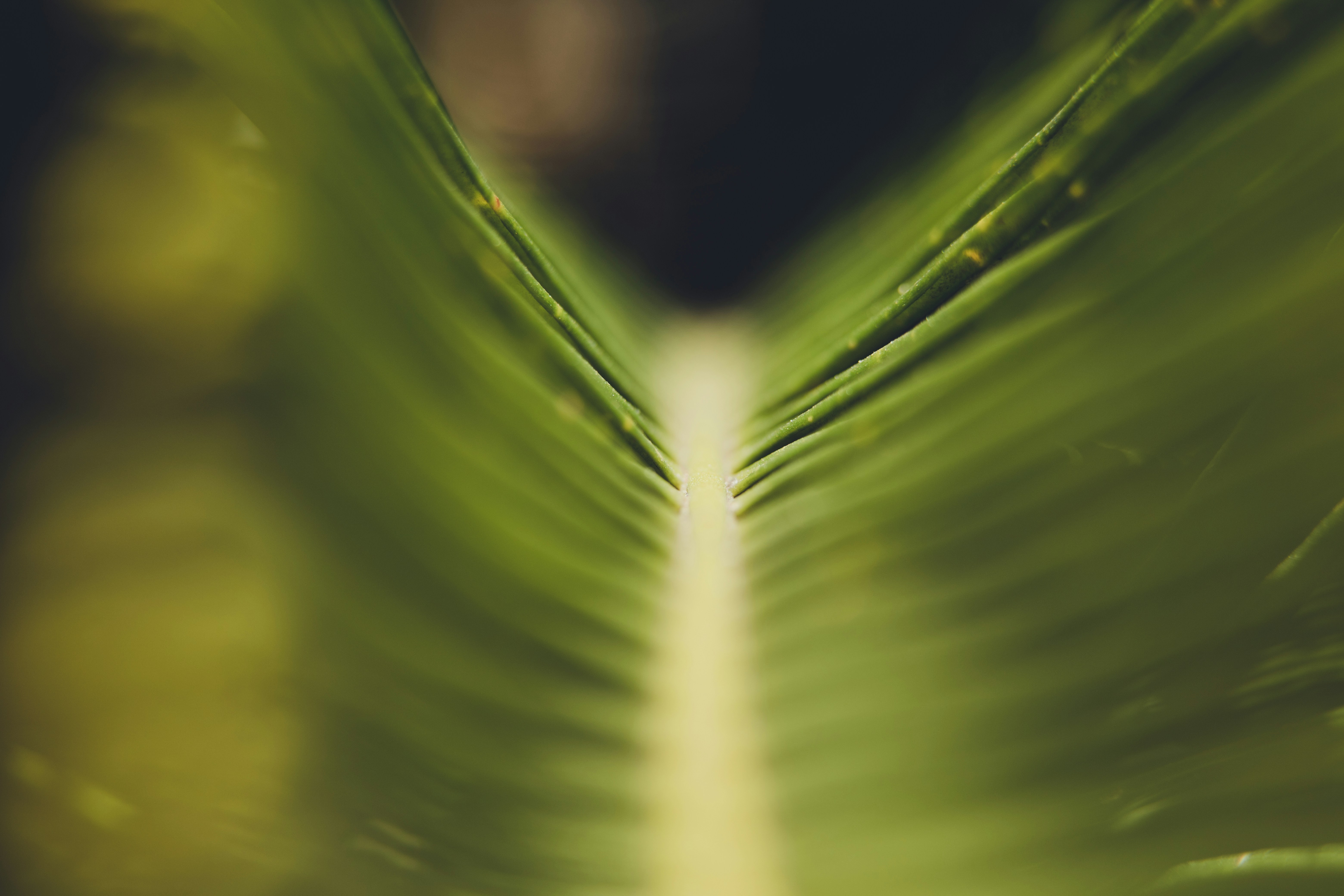 Photo by rrodriguesim