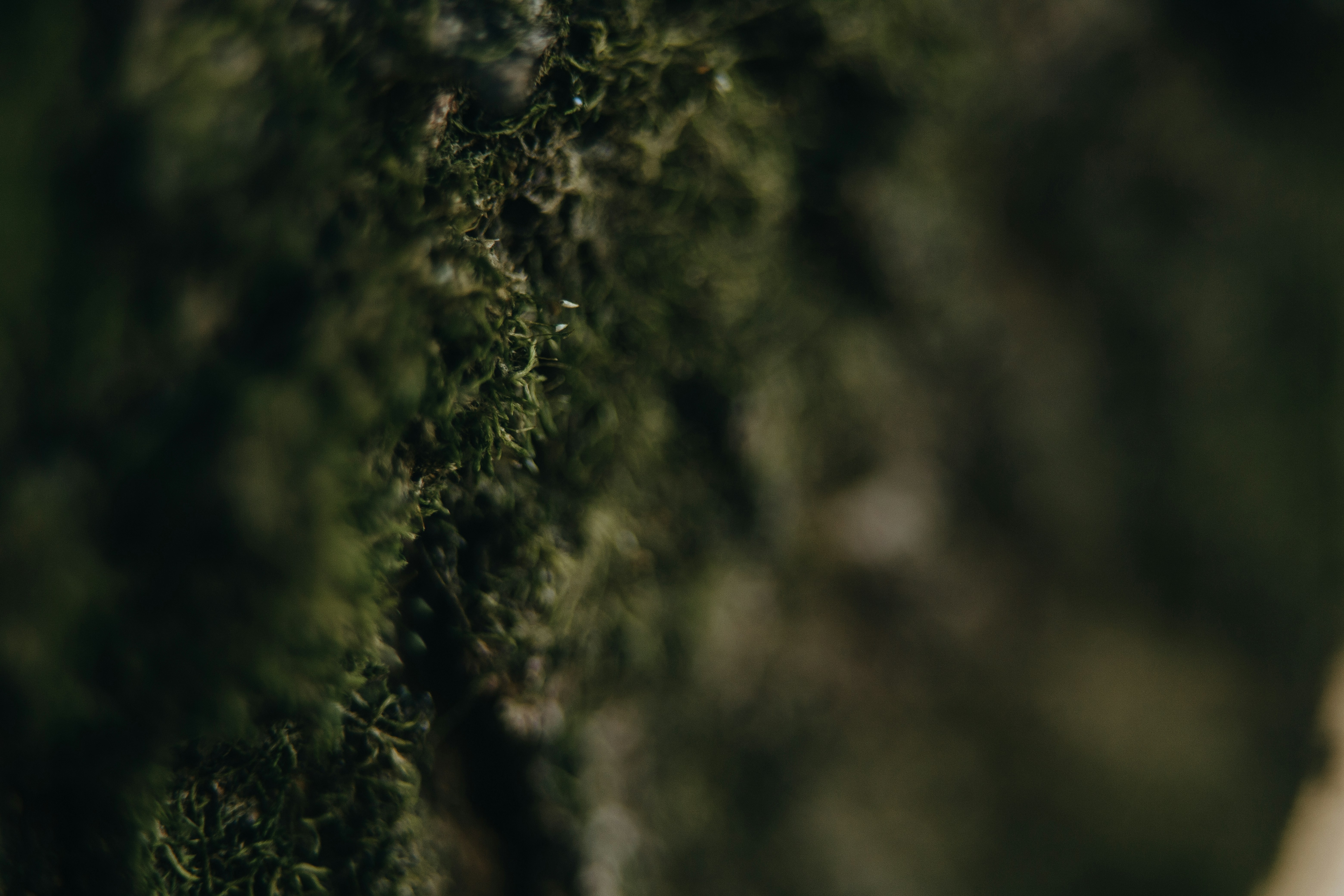 Photo by rrodriguesim