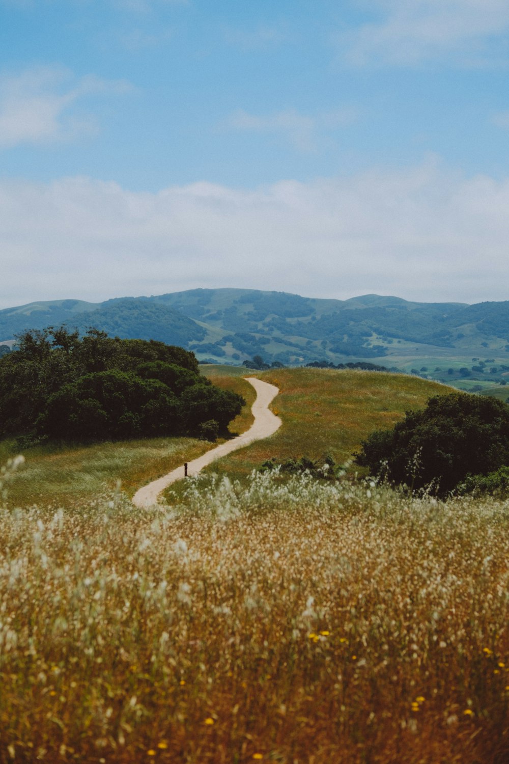 a person walking down a dirt road in the middle of a field