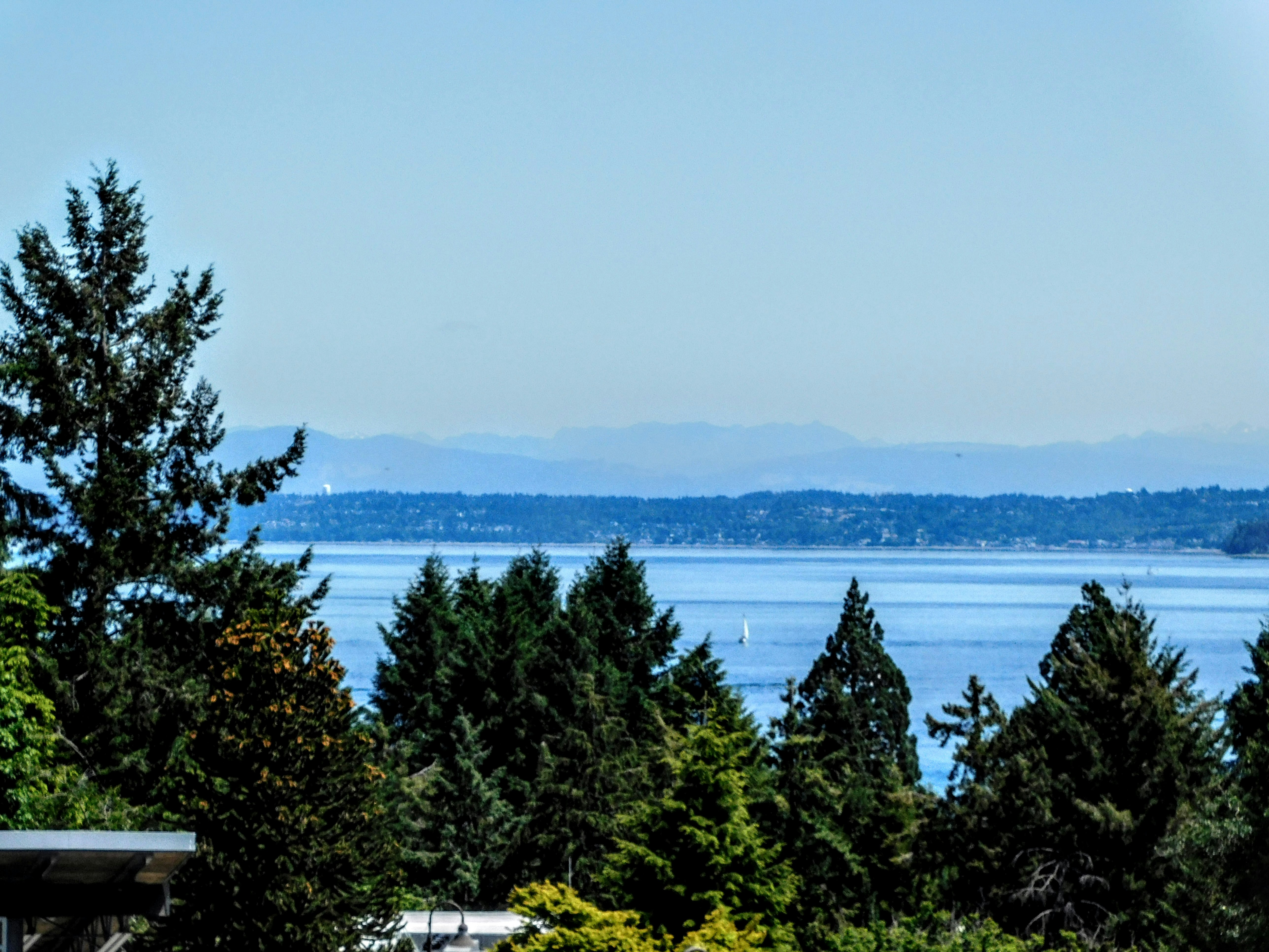 Photo by prphotography262