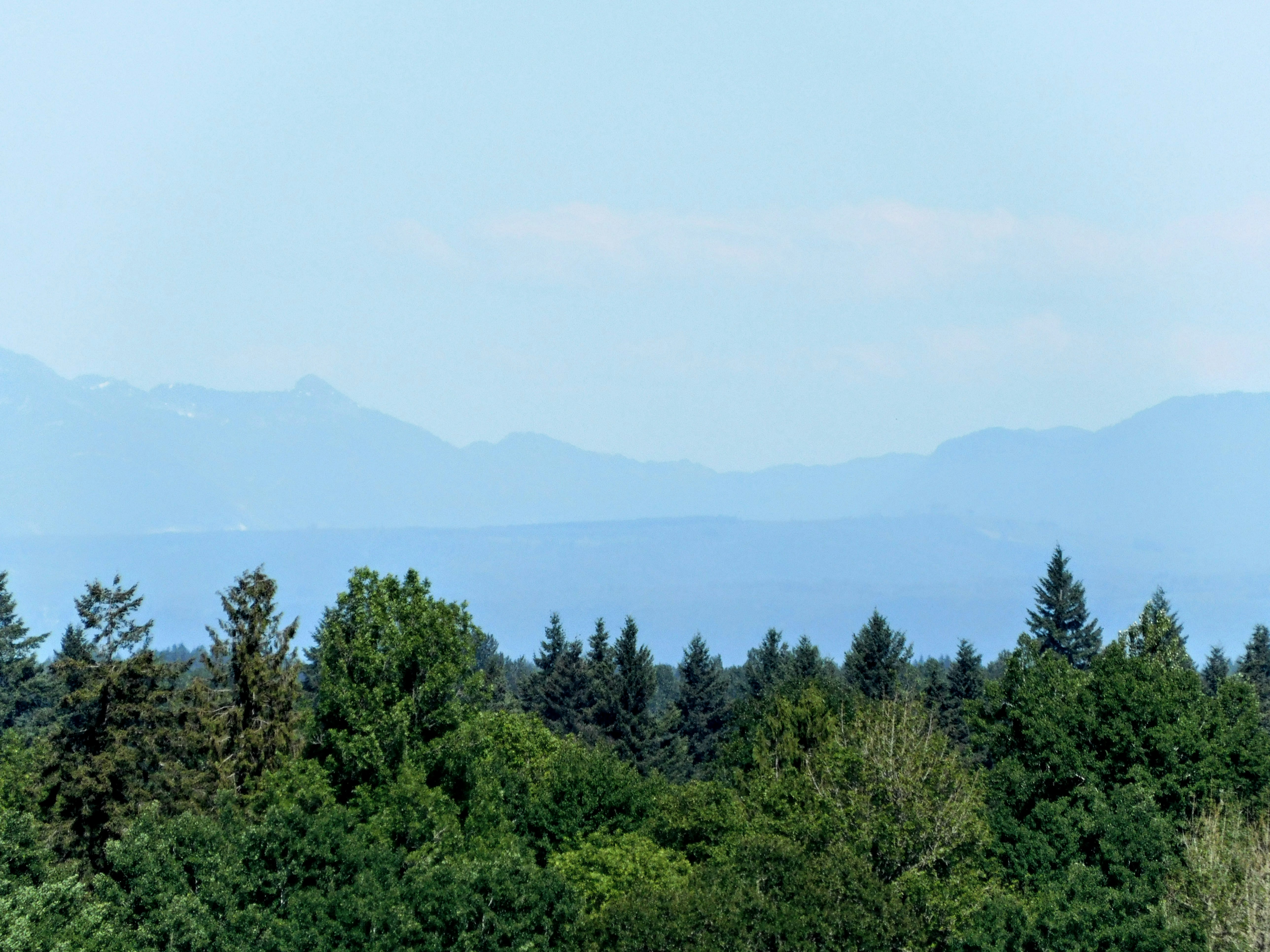 Photo by prphotography262