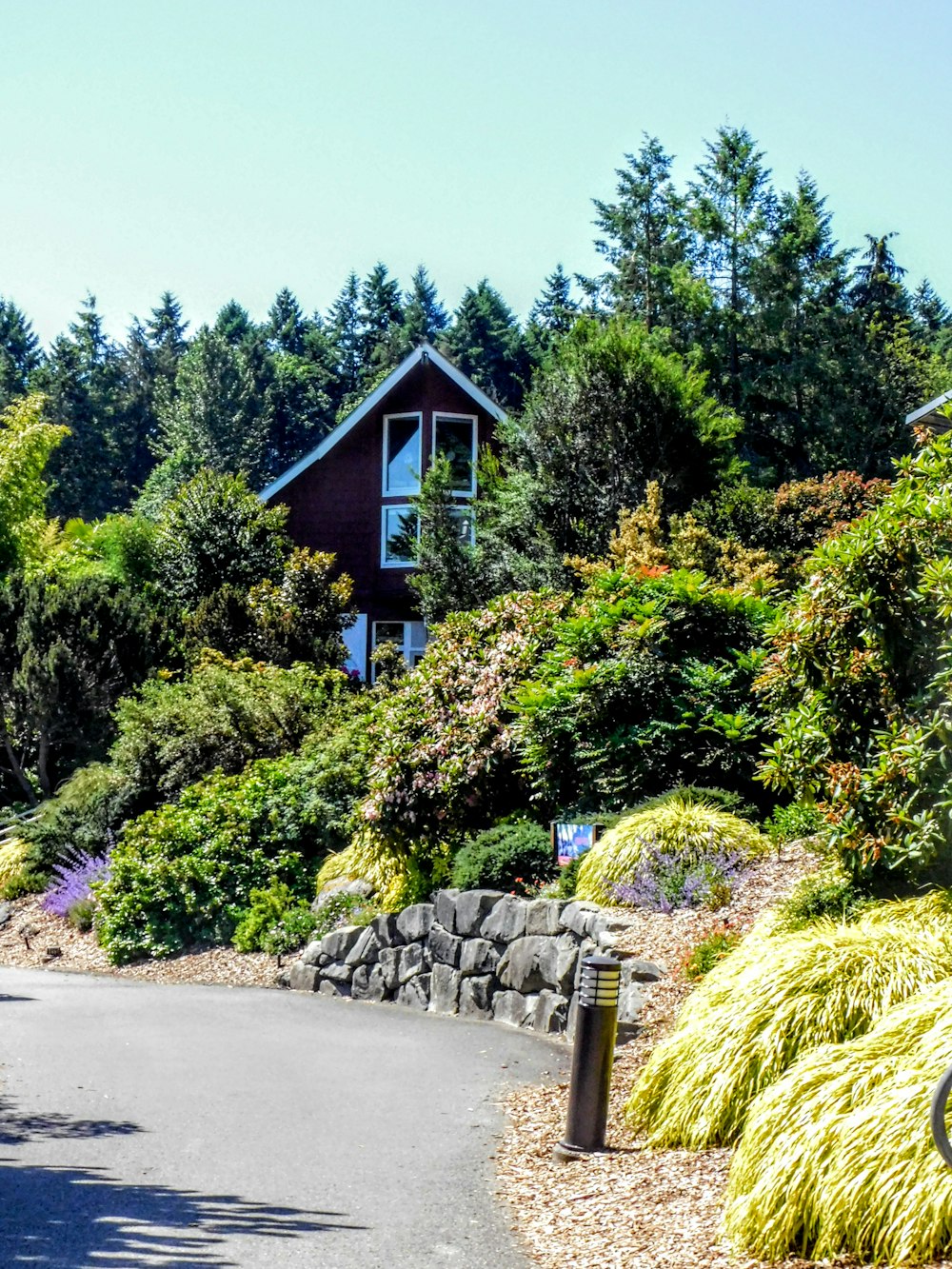 a house on the side of a road surrounded by trees