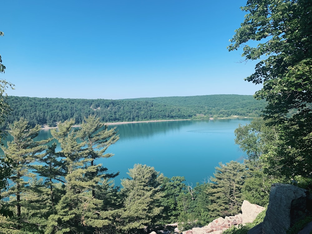 a large body of water surrounded by trees