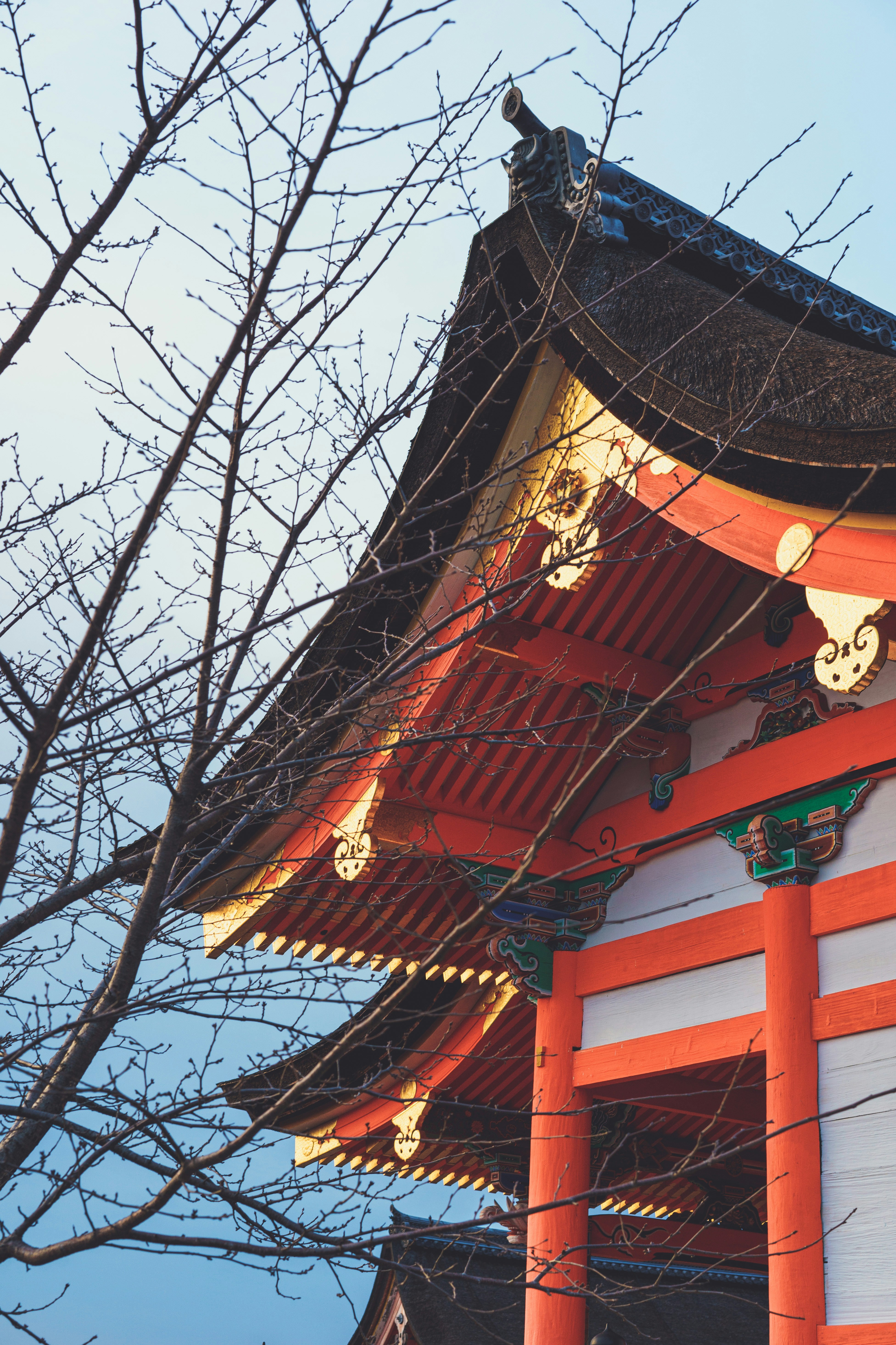 Photo by little_sweet_potato_chips