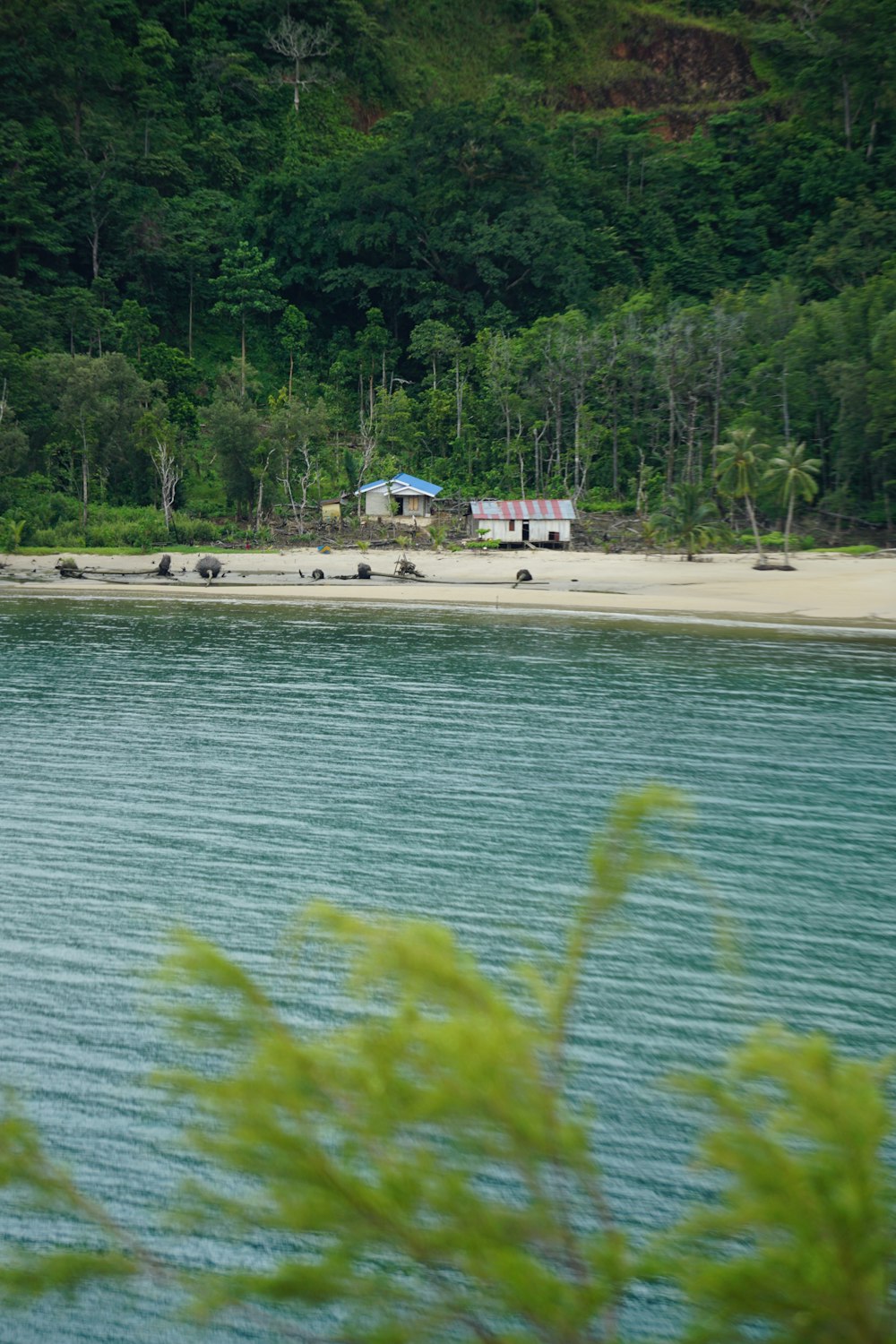 a body of water with a beach and trees in the background