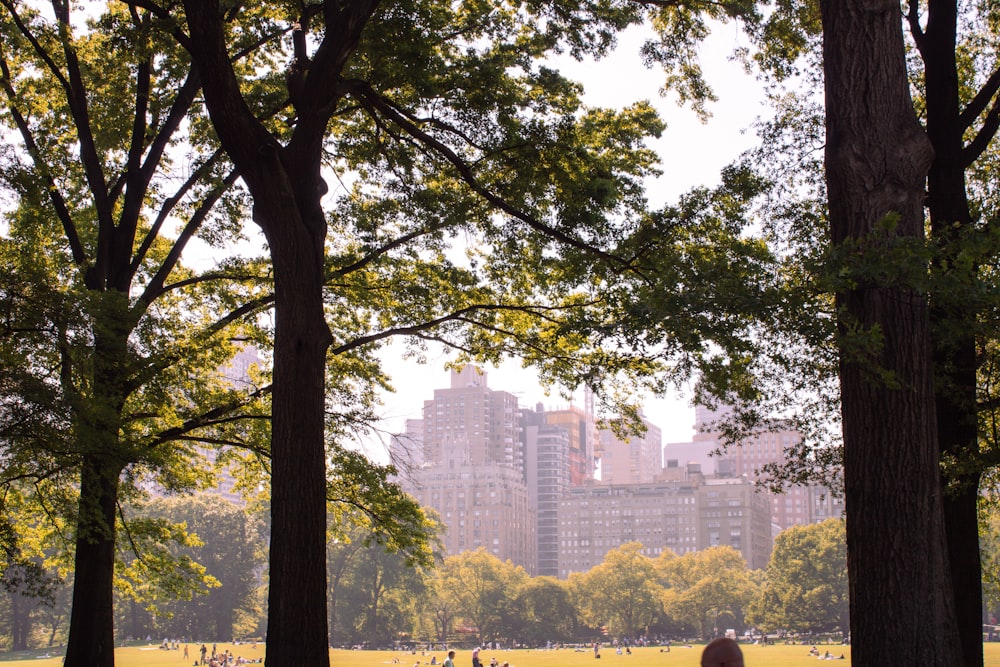 a person sitting on a bench in a park