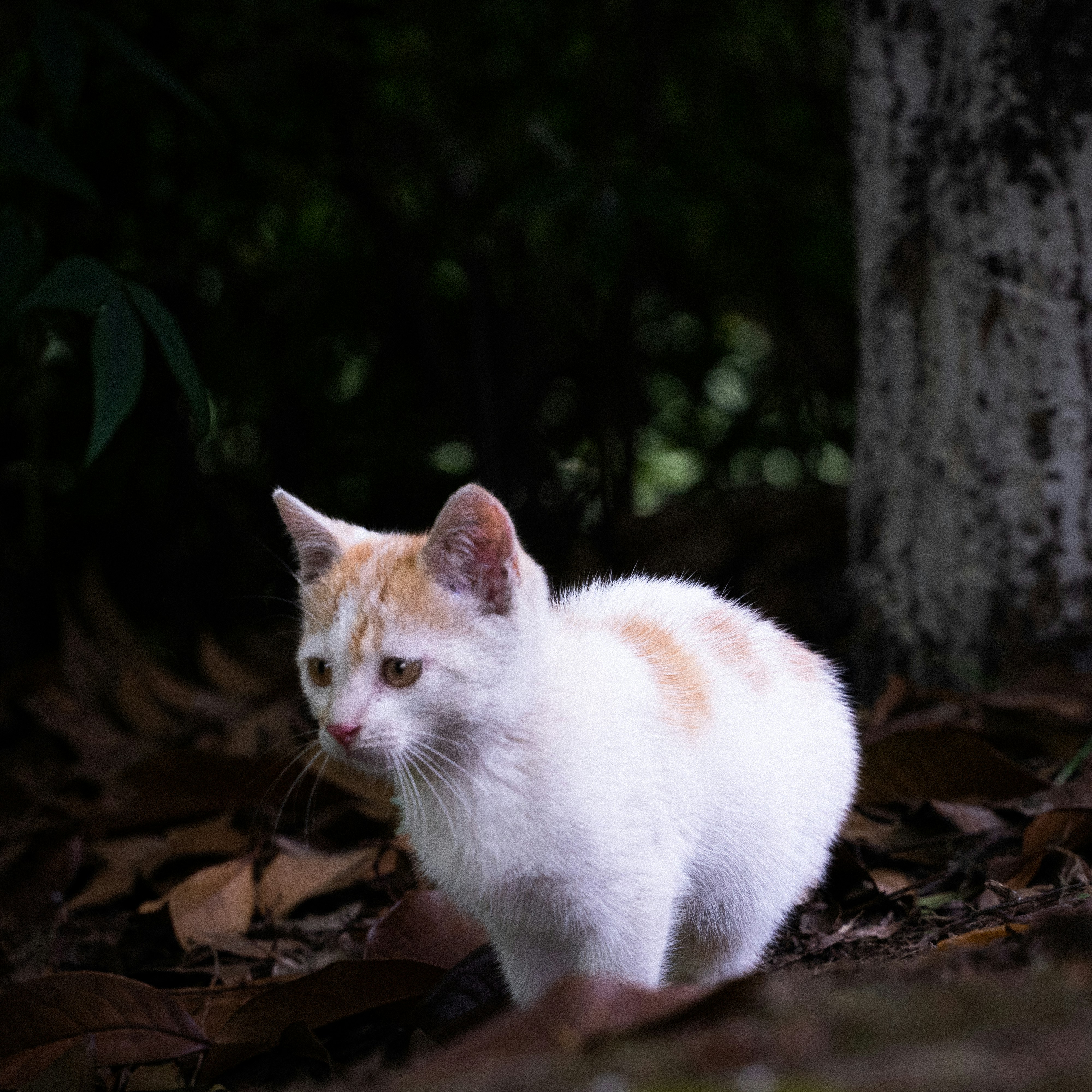 Photo by hvfeybdecff