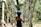 A person wearing a blue helmet and gloves is engaged in a rope course in a wooded area. The person appears to be carefully navigating through a suspended network of ropes, surrounded by trees with sunlight filtering through the leaves.