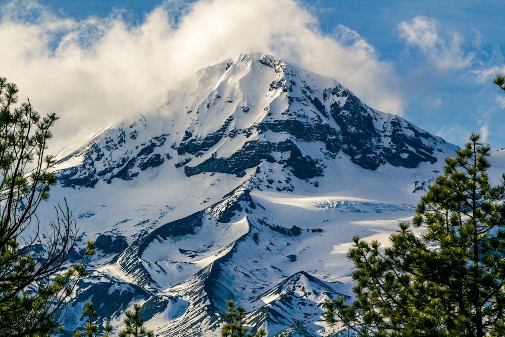 Una montaña cubierta de nieve rodeada de pinos