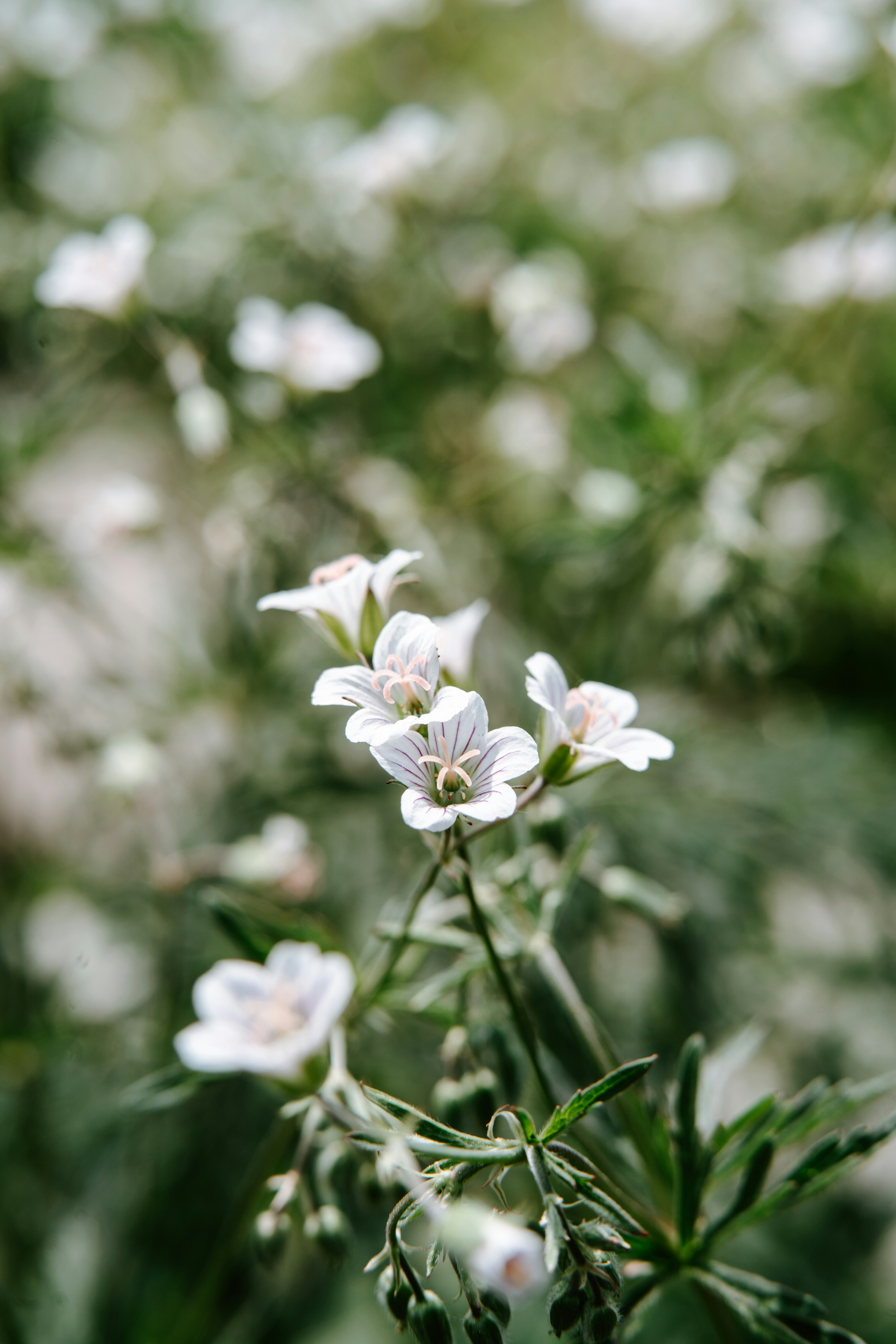 Photo by anamnesis33