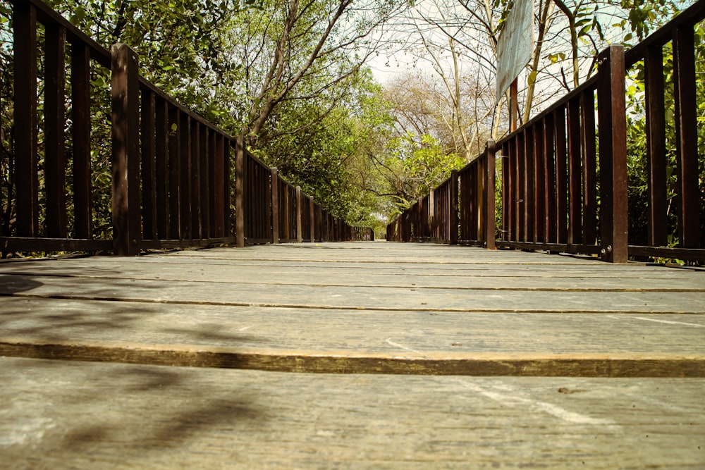 una pasarela de madera rodeada de muchos árboles